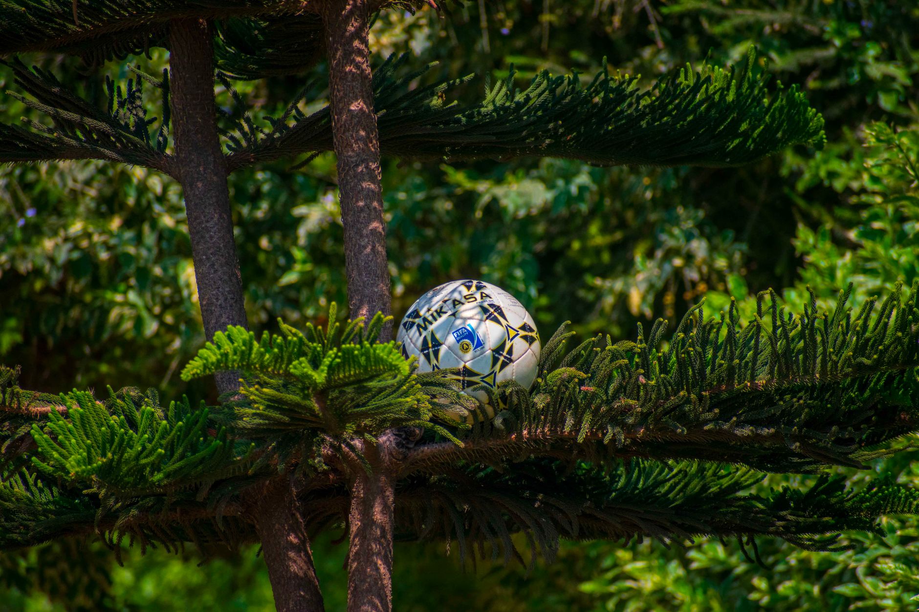 FIFA's New Delhi Workshop Explores Football's Environmental Impact