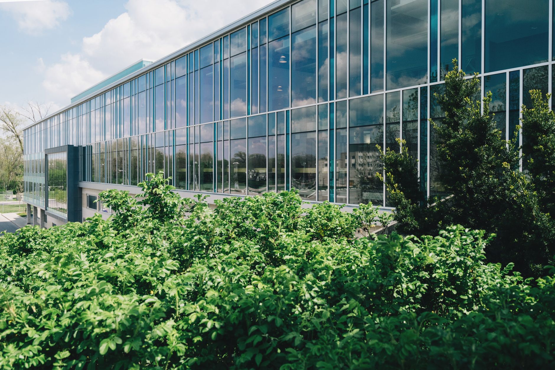Furore Over Business Magnate's Professorship in Sustainability