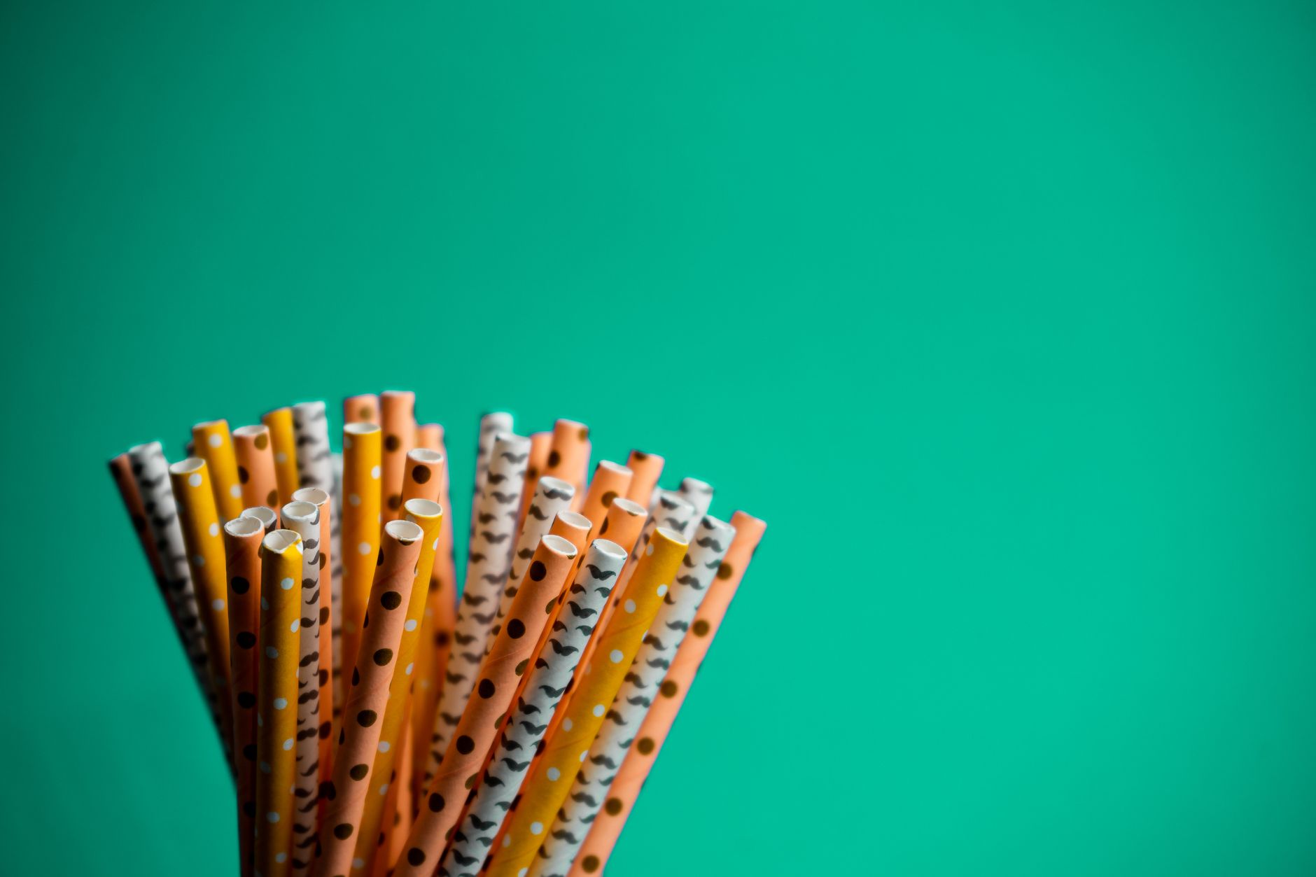 Study Reveals Paper Straws May Be More Harmful Than Plastic