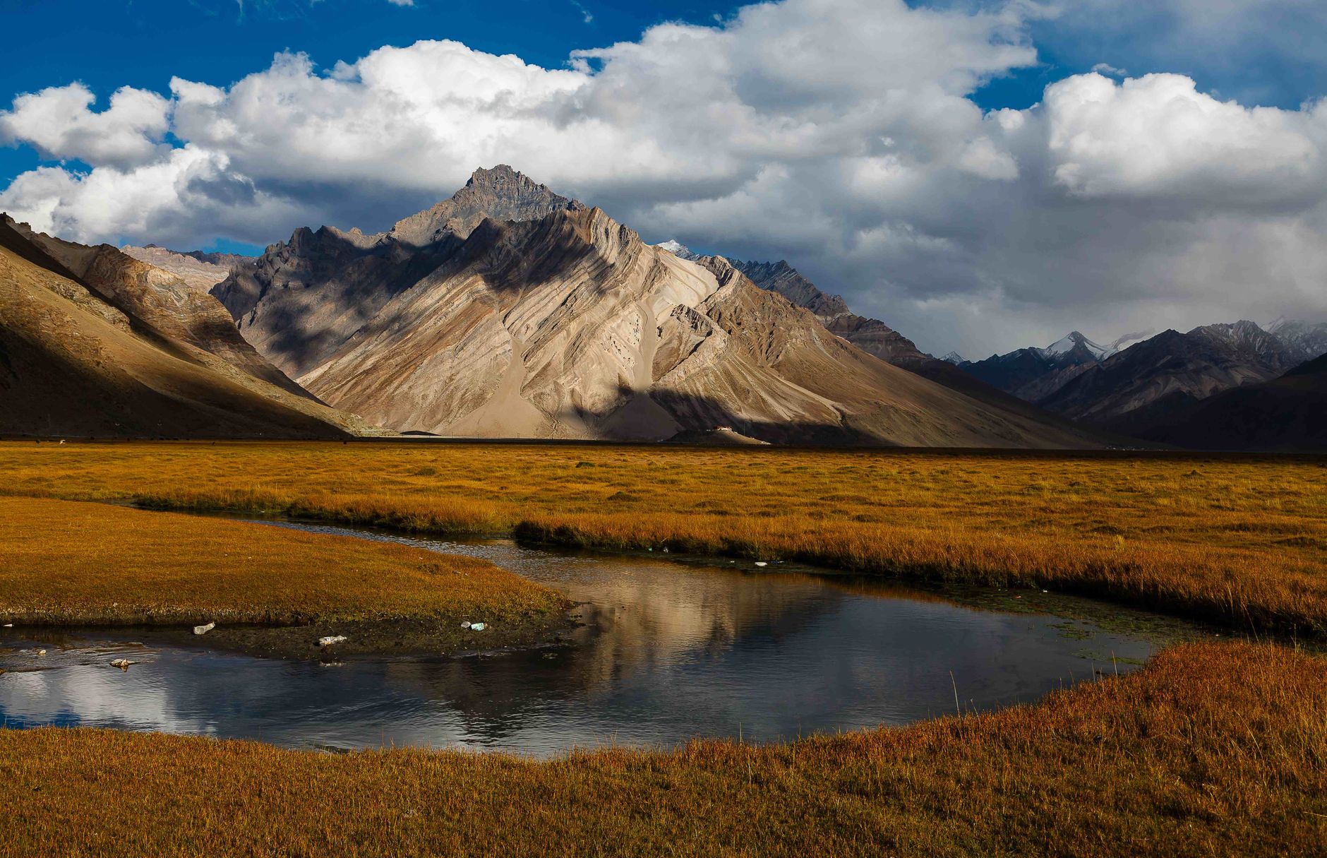 Ex-Servicemen Join Environmental Force to Protect Ladakh's Delicate Ecosystem