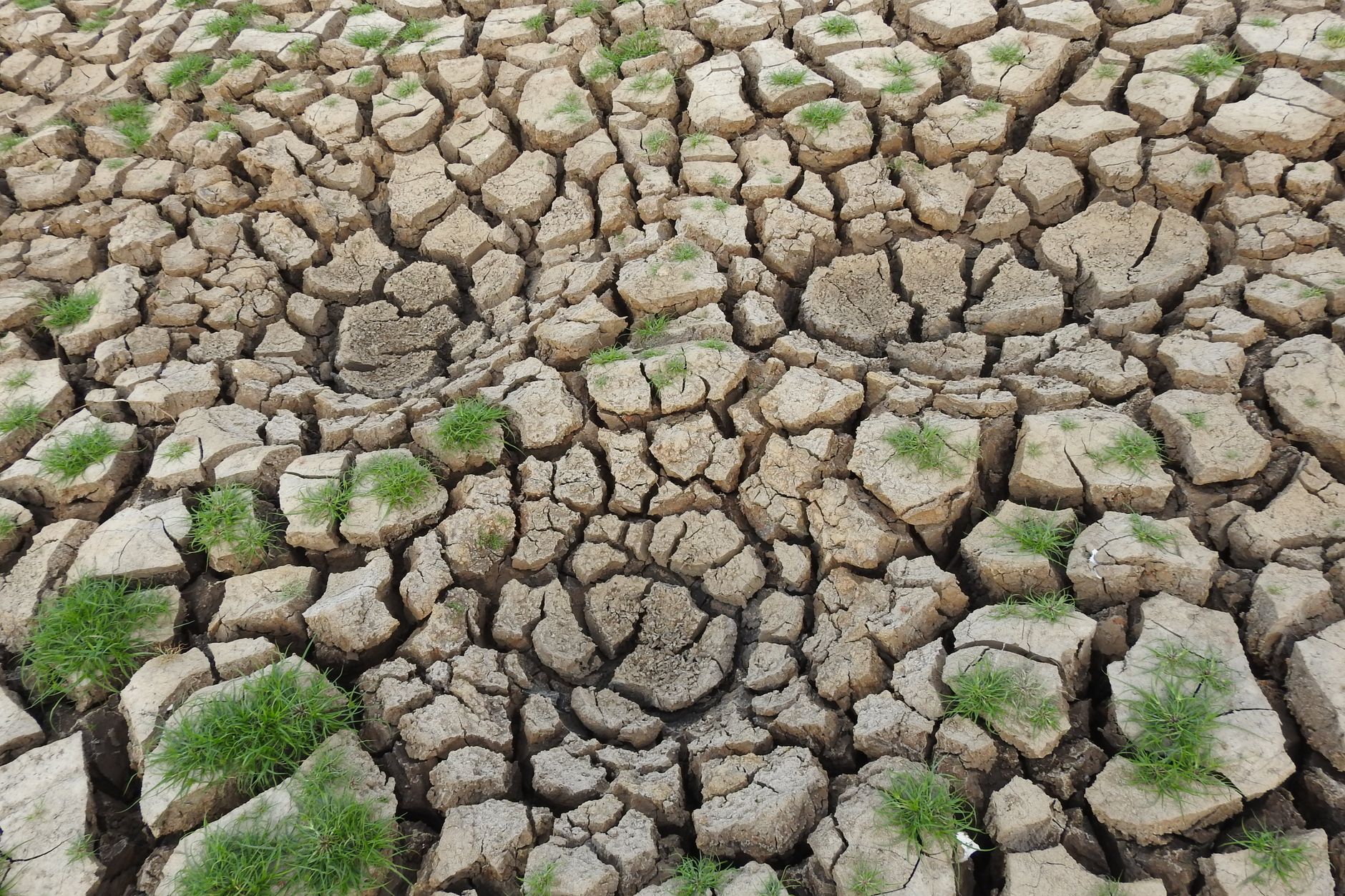 Britain's Looming Food Crisis: A Wake-Up Call for Urgent Action