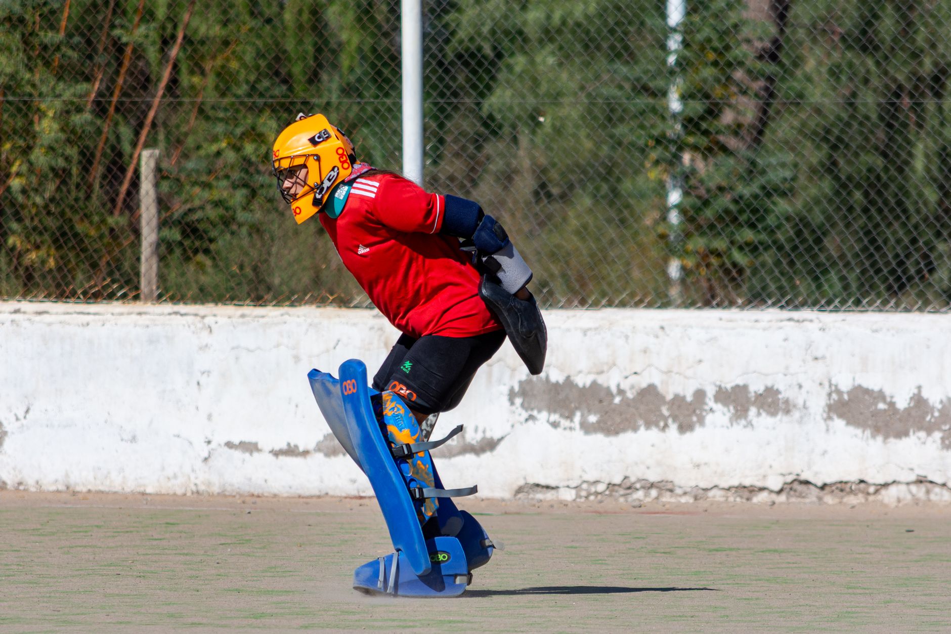 Sreejesh Lashes Out: A Call for Indian Hockey Accountability