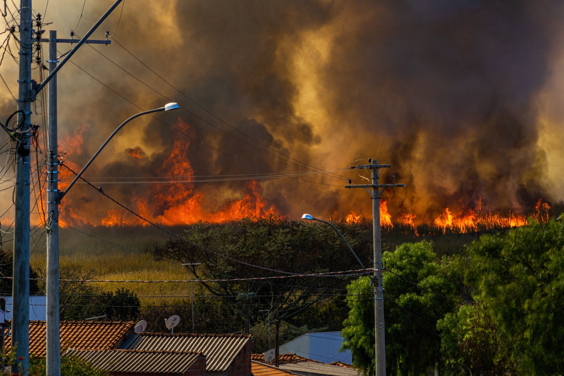 Canada Ablaze: Ontario's Forest Fires Rage On