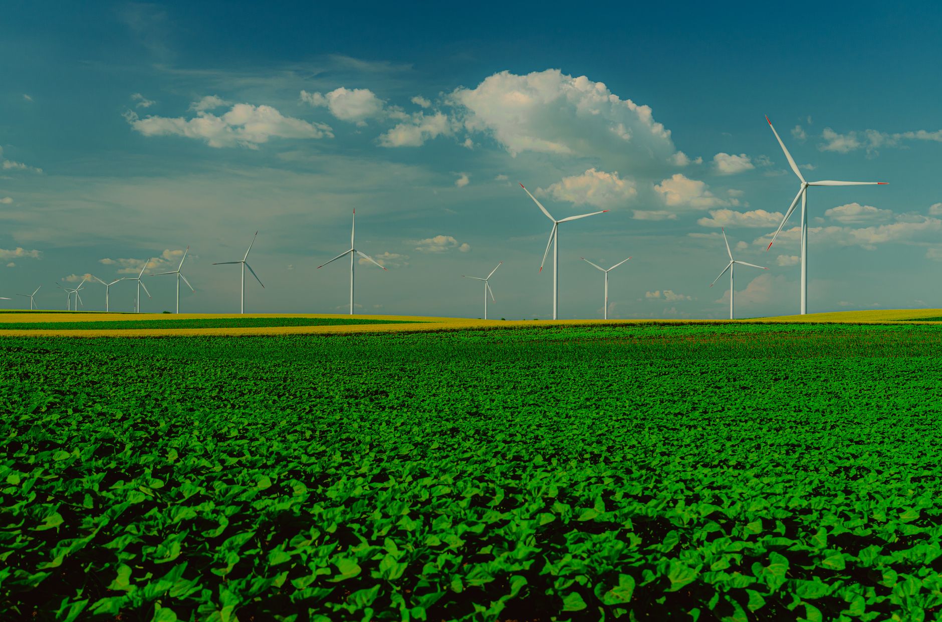 Datacentres Face Legal Scrutiny Amid Climate Concerns