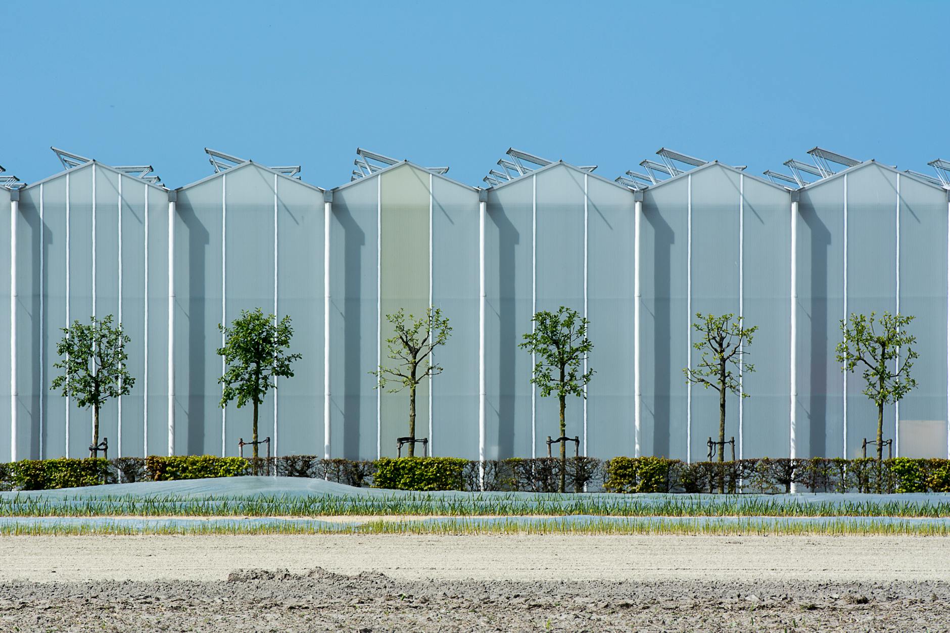 Harnessing Technology to Feed a Growing World Population