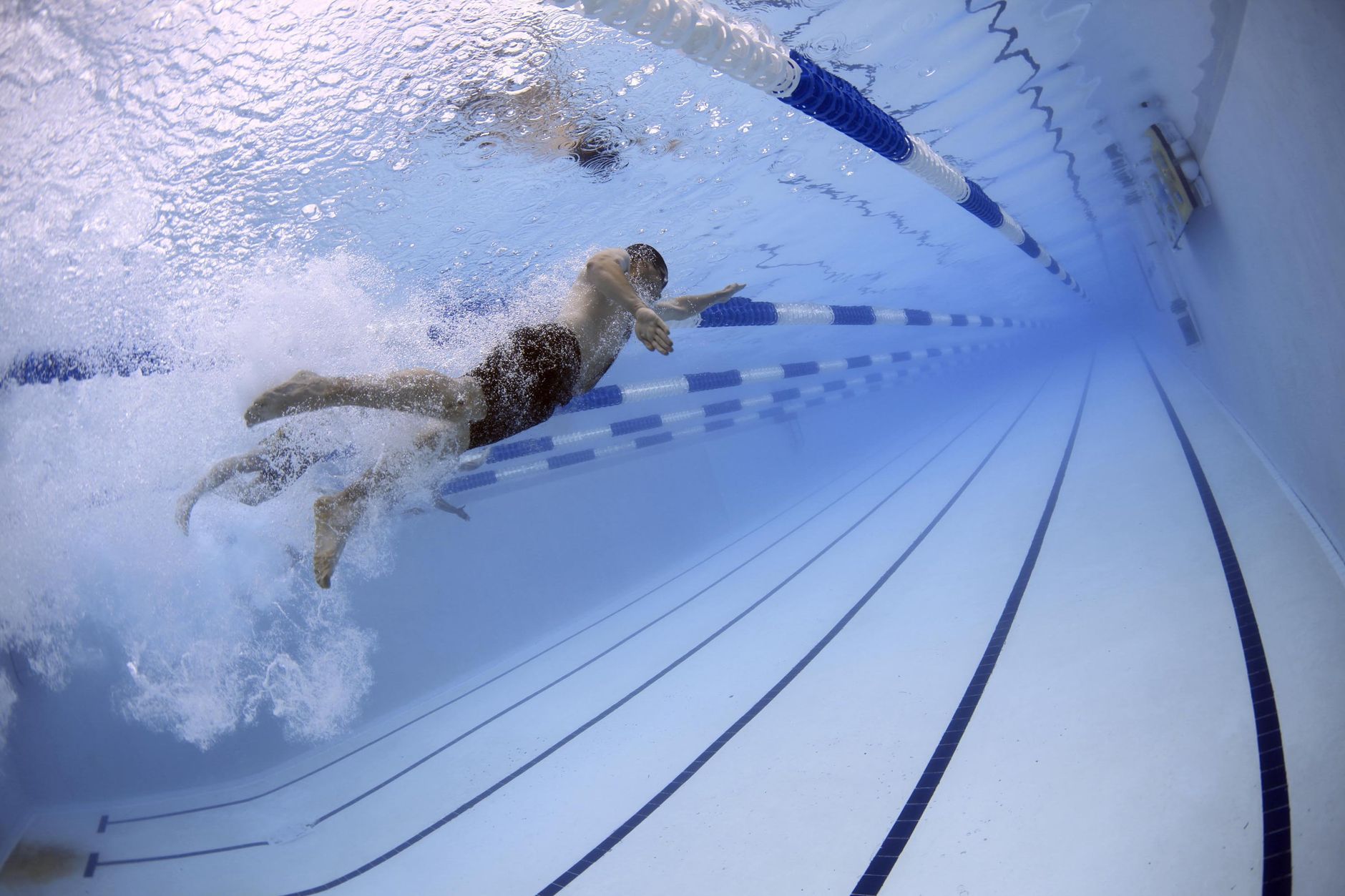 Splashes and Triumphs at Legends Underwater Sports Finale