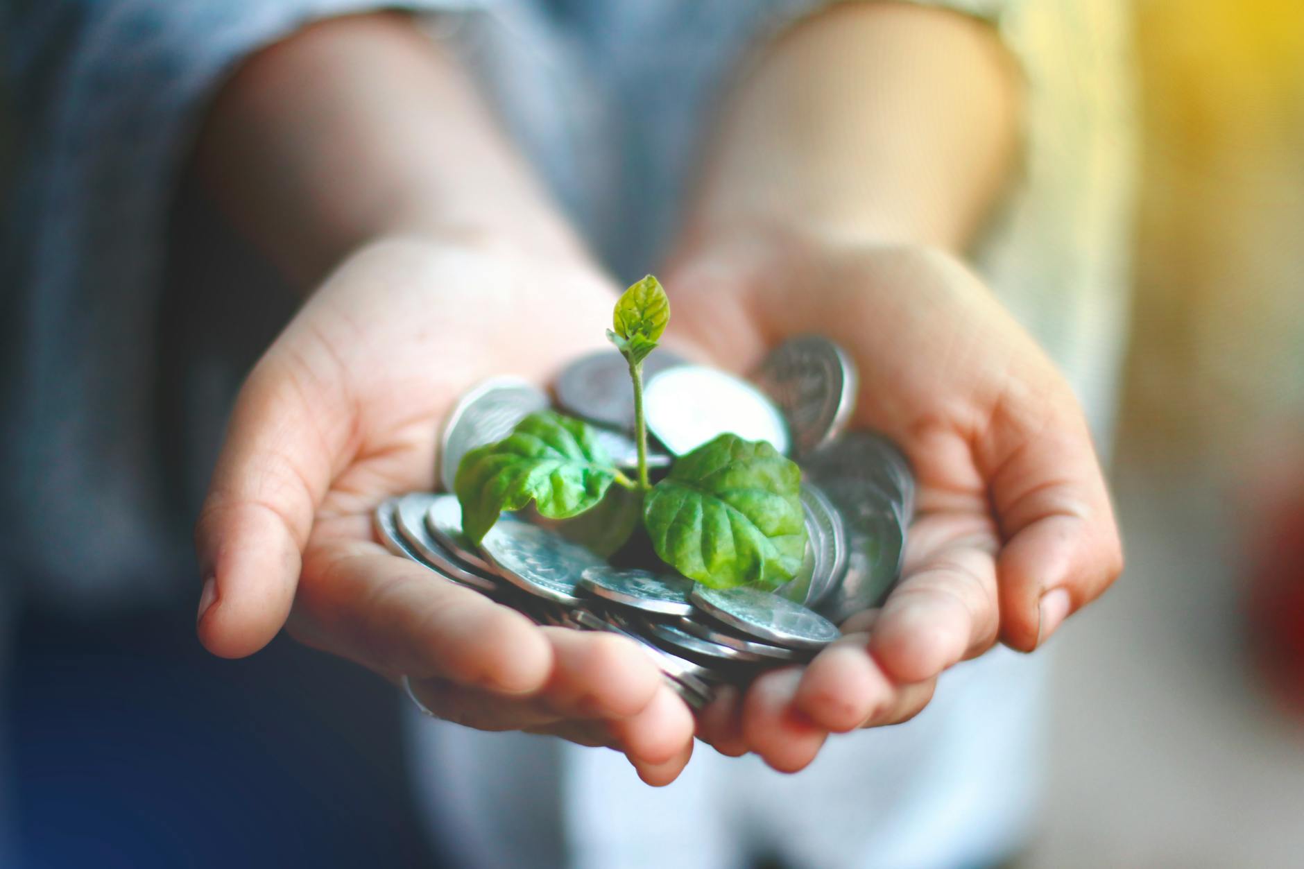 Guernsey's Commitment: £500,000 Boost for Environmental Progress
