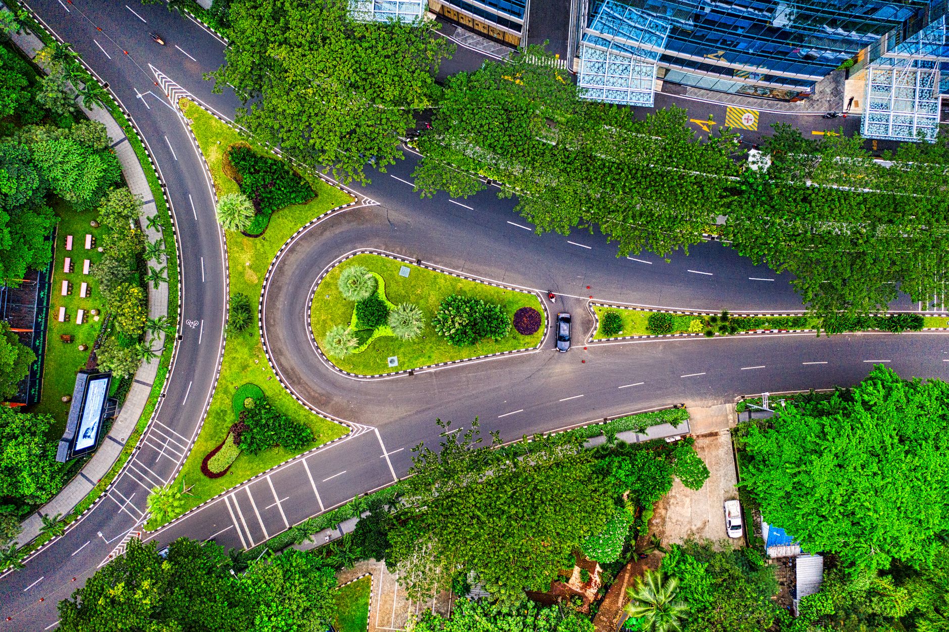 Bengaluru to Pioneer Science-Driven Tree Management