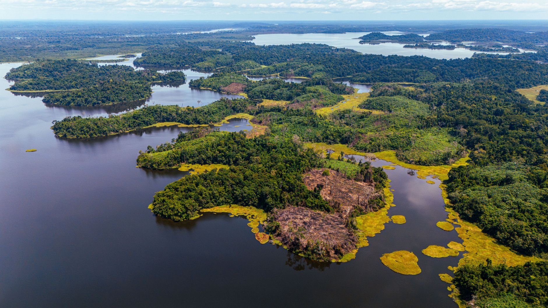 USAID's Withdrawal: A Decisive Blow to Global Conservation