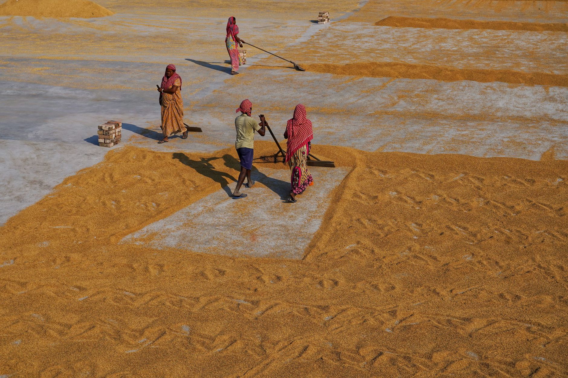 Northern India's Air: A Crisis of Class and Health