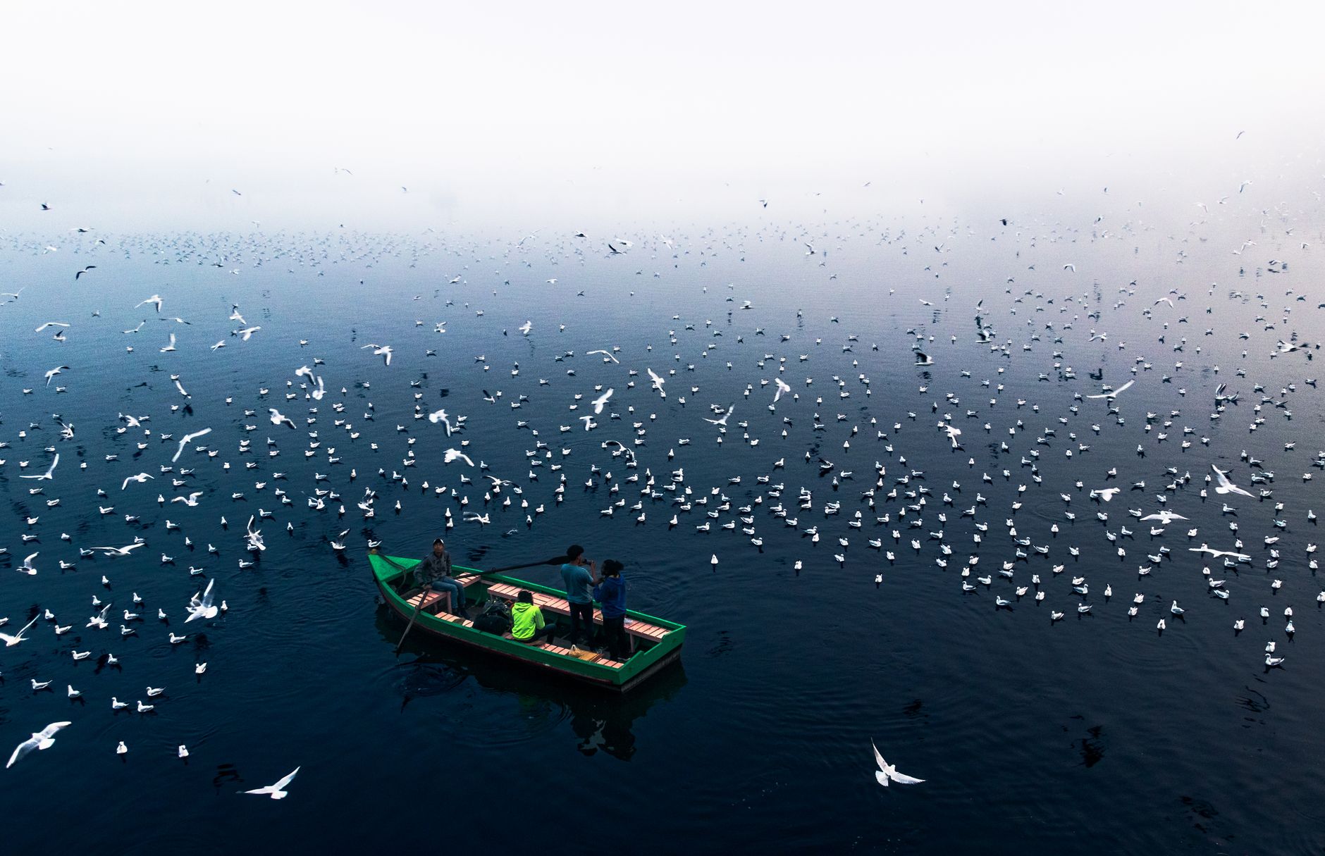 Yamuna's Microplastic Menace: A Hidden Threat to Health