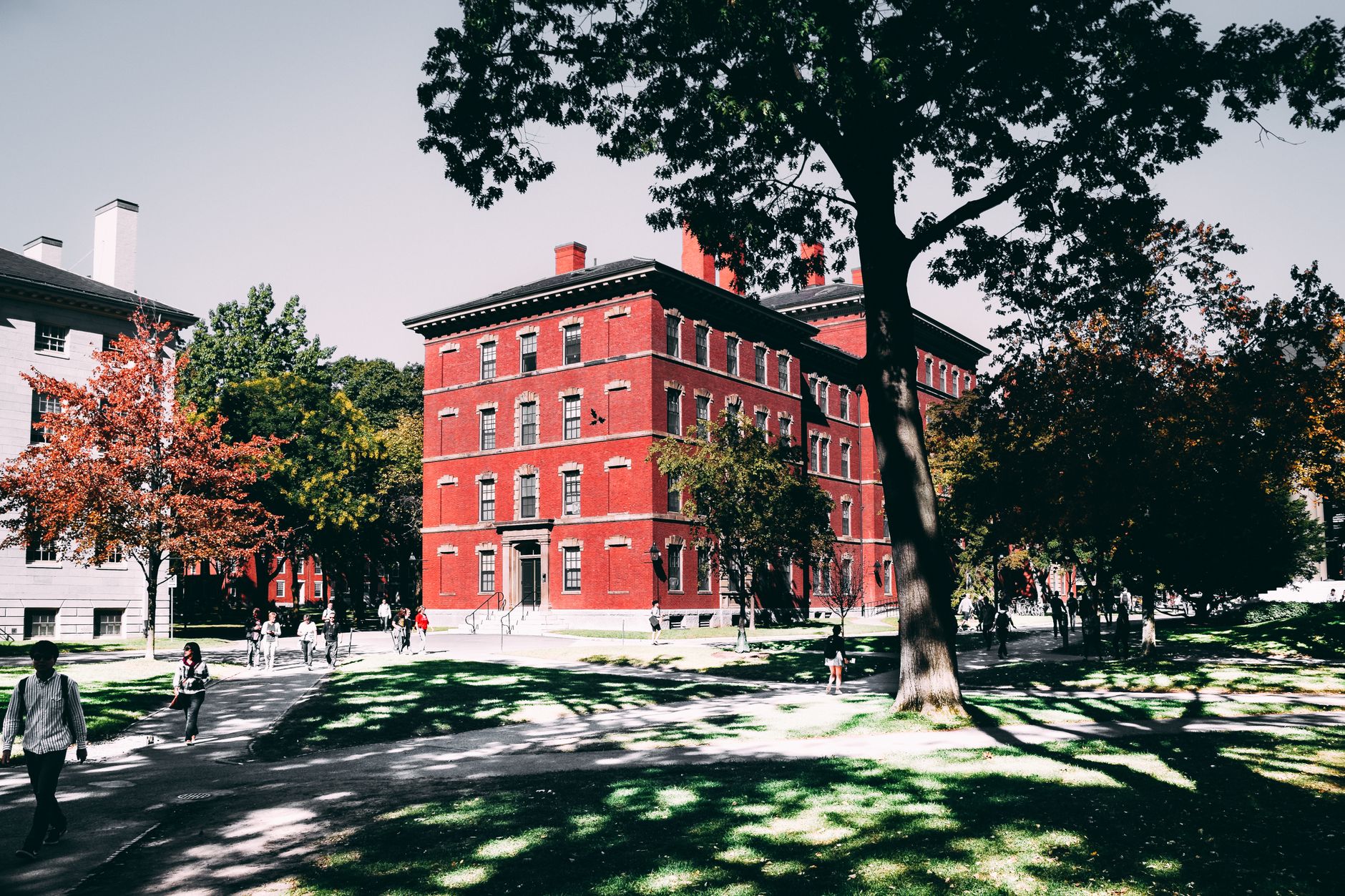 Harvard Urges Return as US Visa Changes Loom