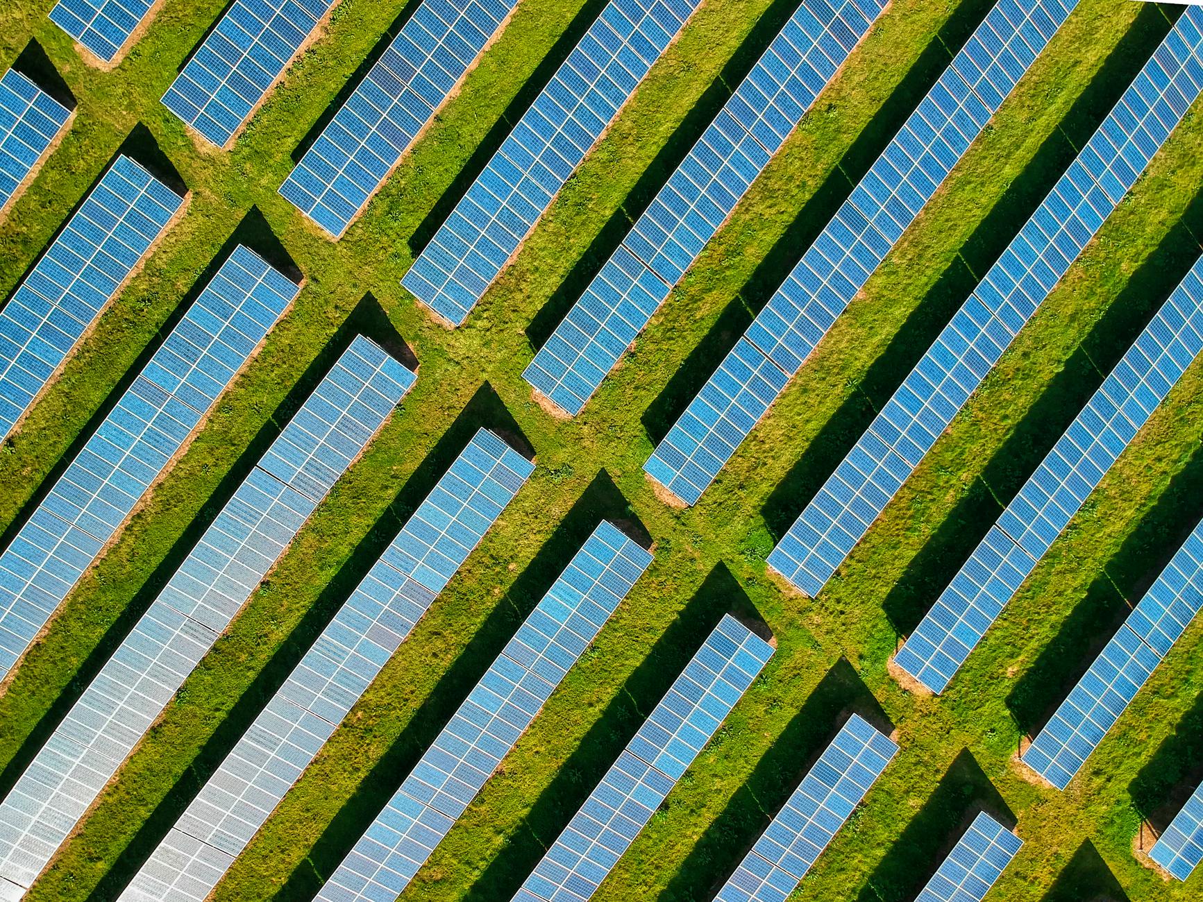 ESG Compliance: The New Business Imperative