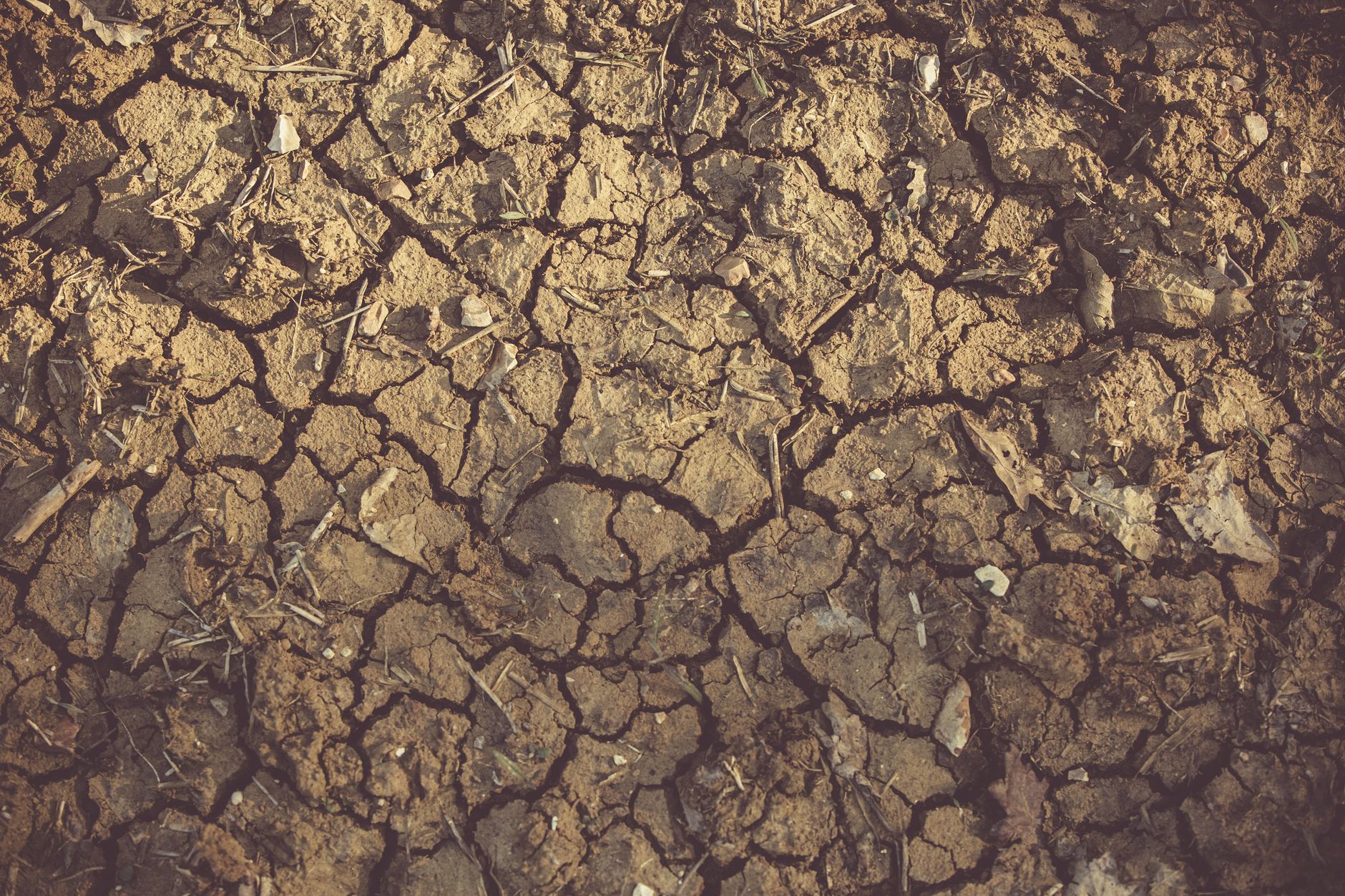 England Faces Severe Drought: Half the Country Parched