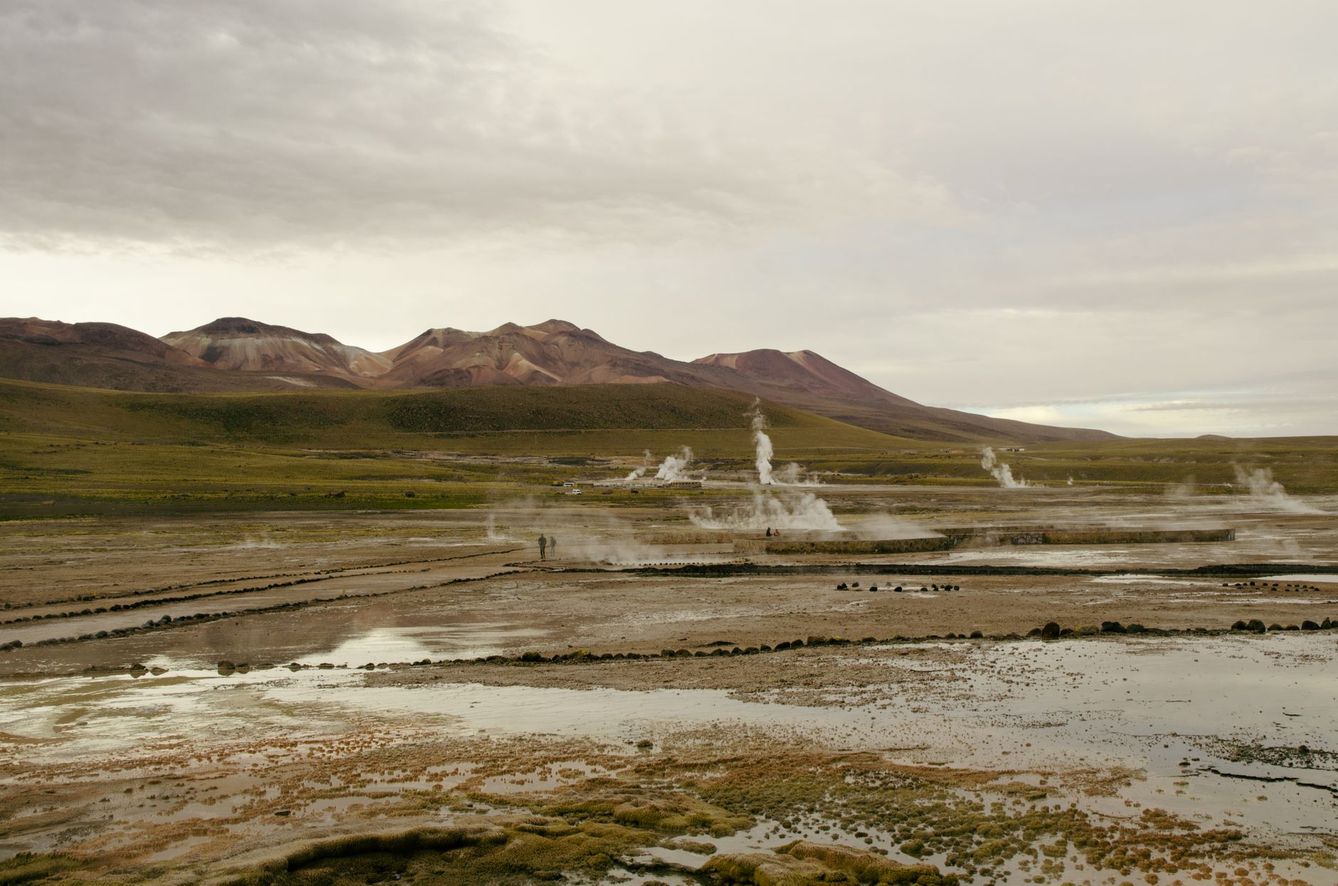 El Niño's Forces: From Tokyo's Rain to Chile's Blossoming Deserts