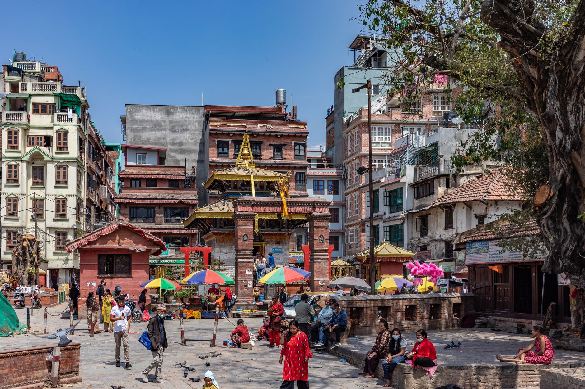 Nepal's Triumph: WHO Honours Public Health Visionaries