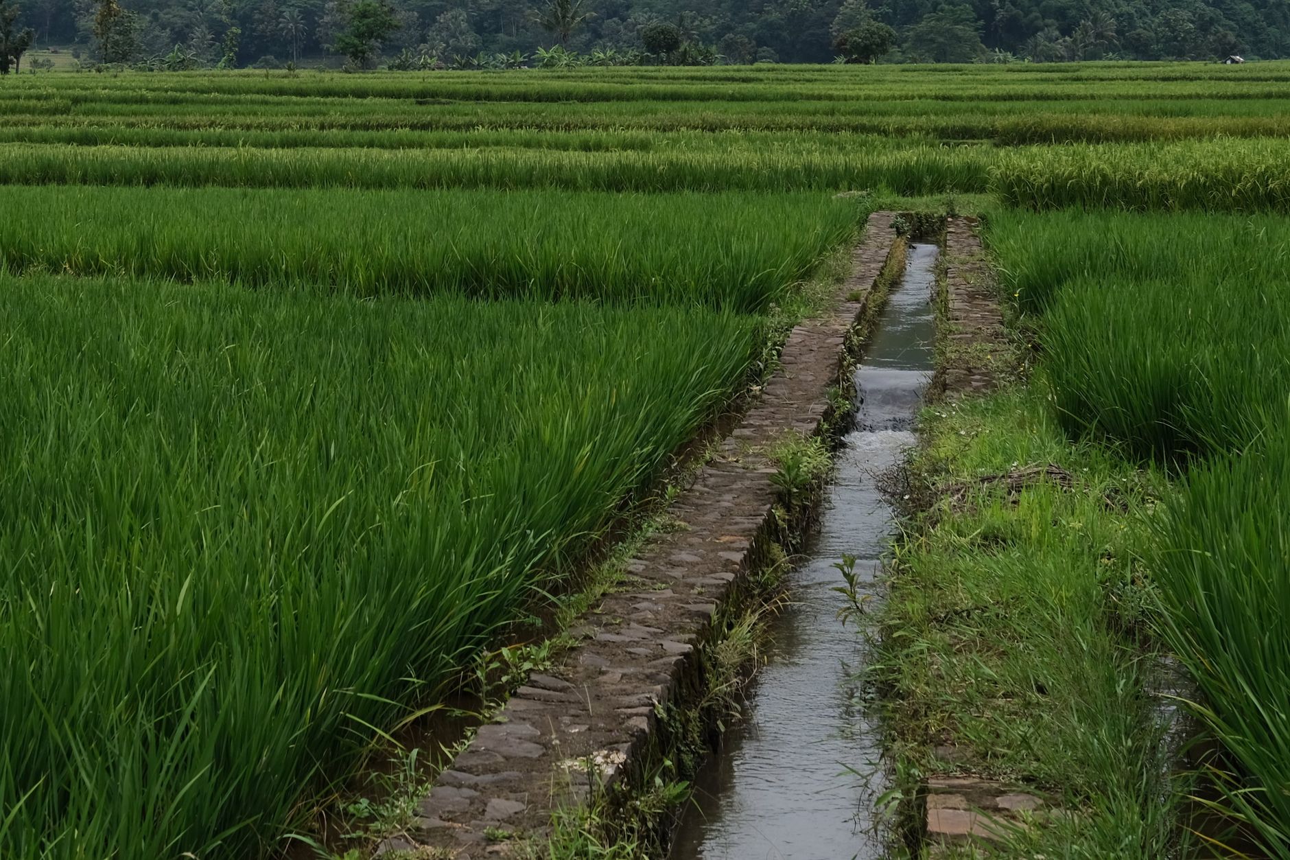 Modern Technology to Revive Telangana's Minor Irrigation System