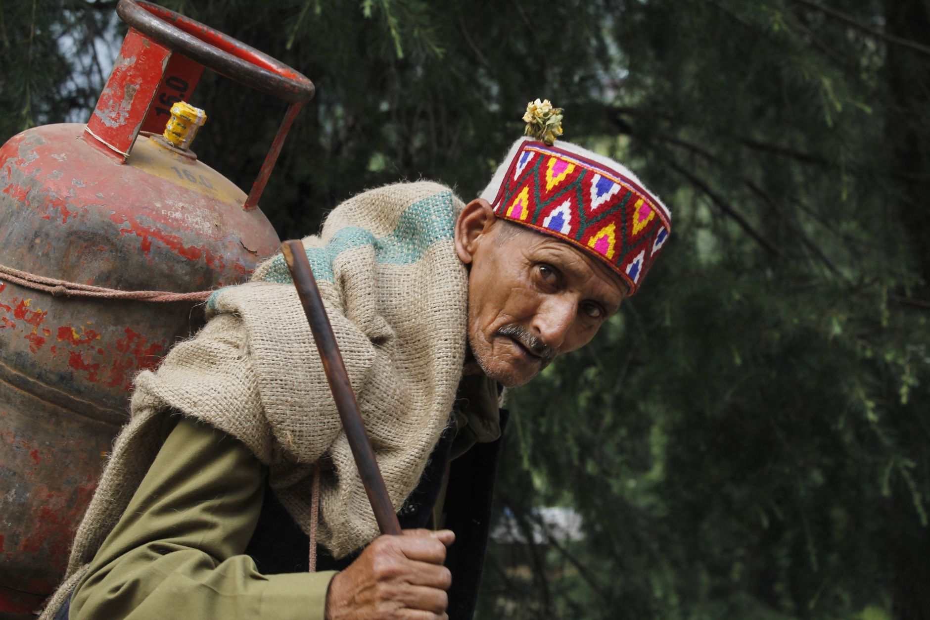 India's First LPG Efficiency Policy Urged Amid Iran Conflict