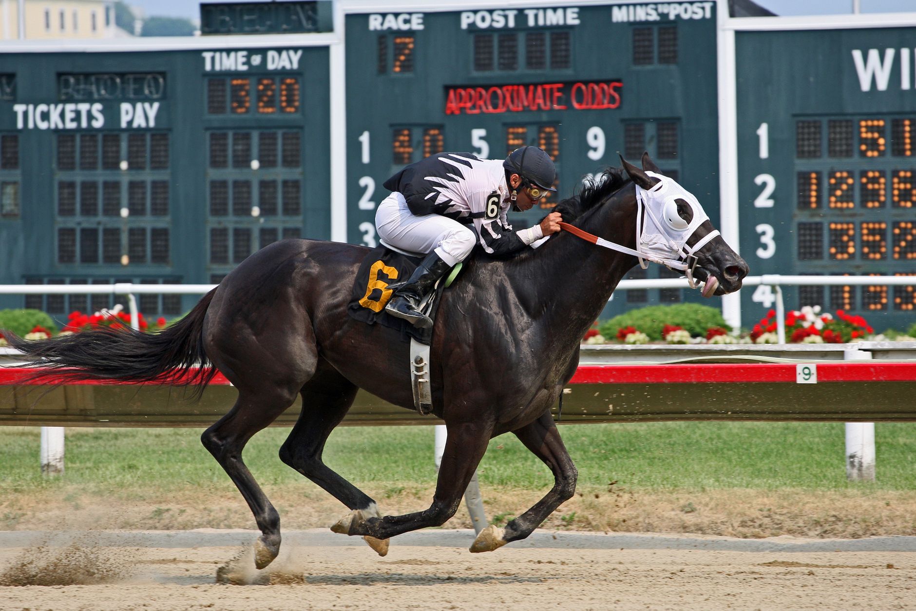 US Sports Leagues Demand Strict Measures Against Betting Threats