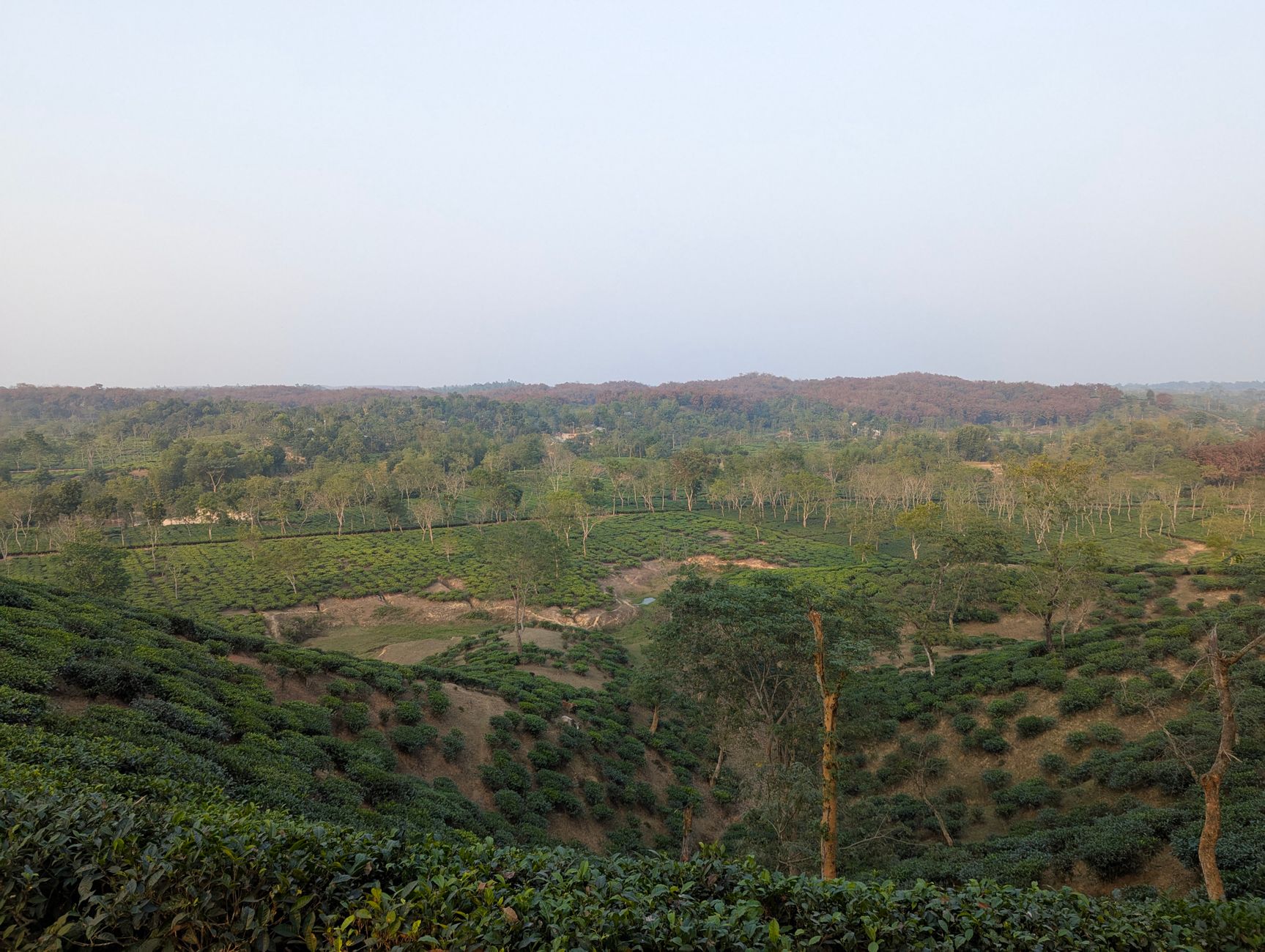 Assam Overhauls Environmental Clearance with New Panels
