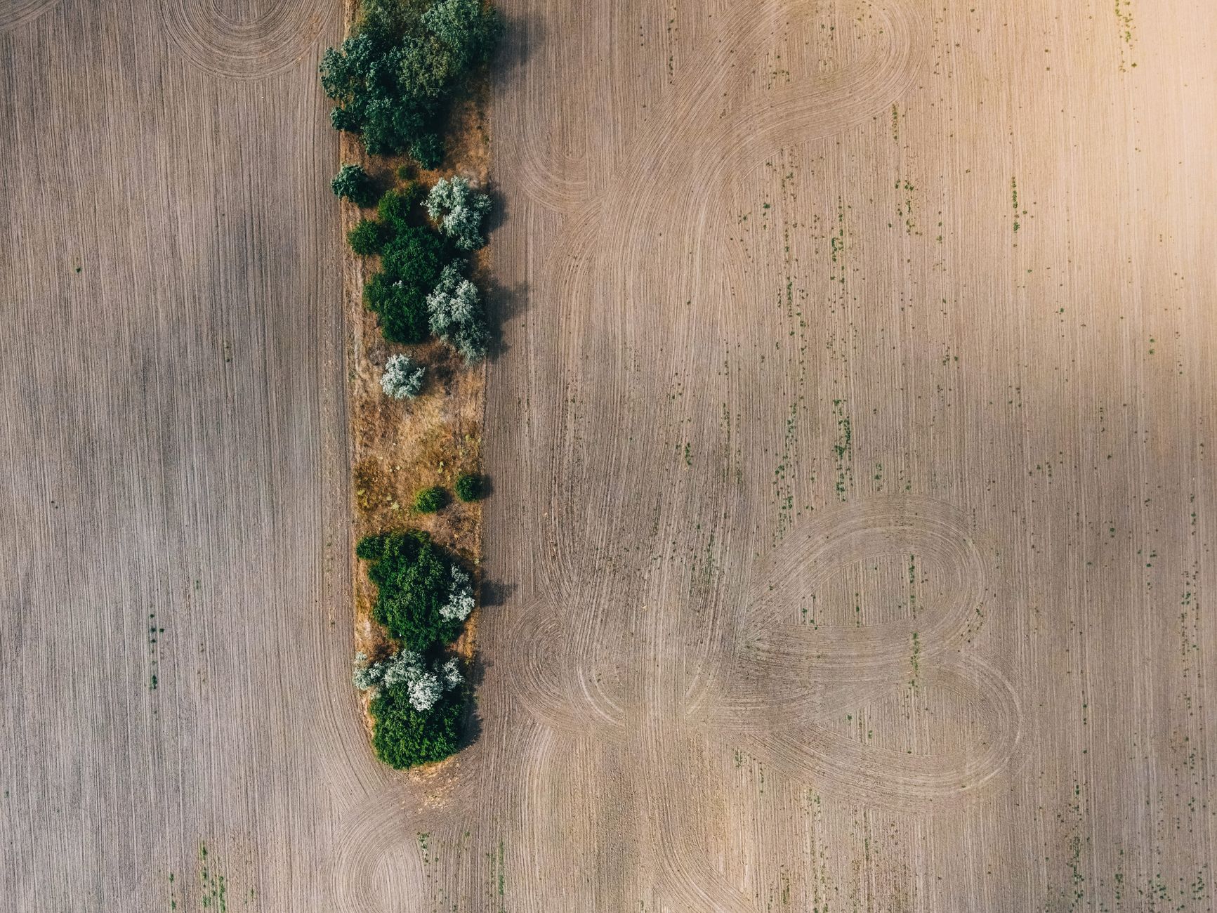 Burying Underpants: A Humorous Soil Health Experiment