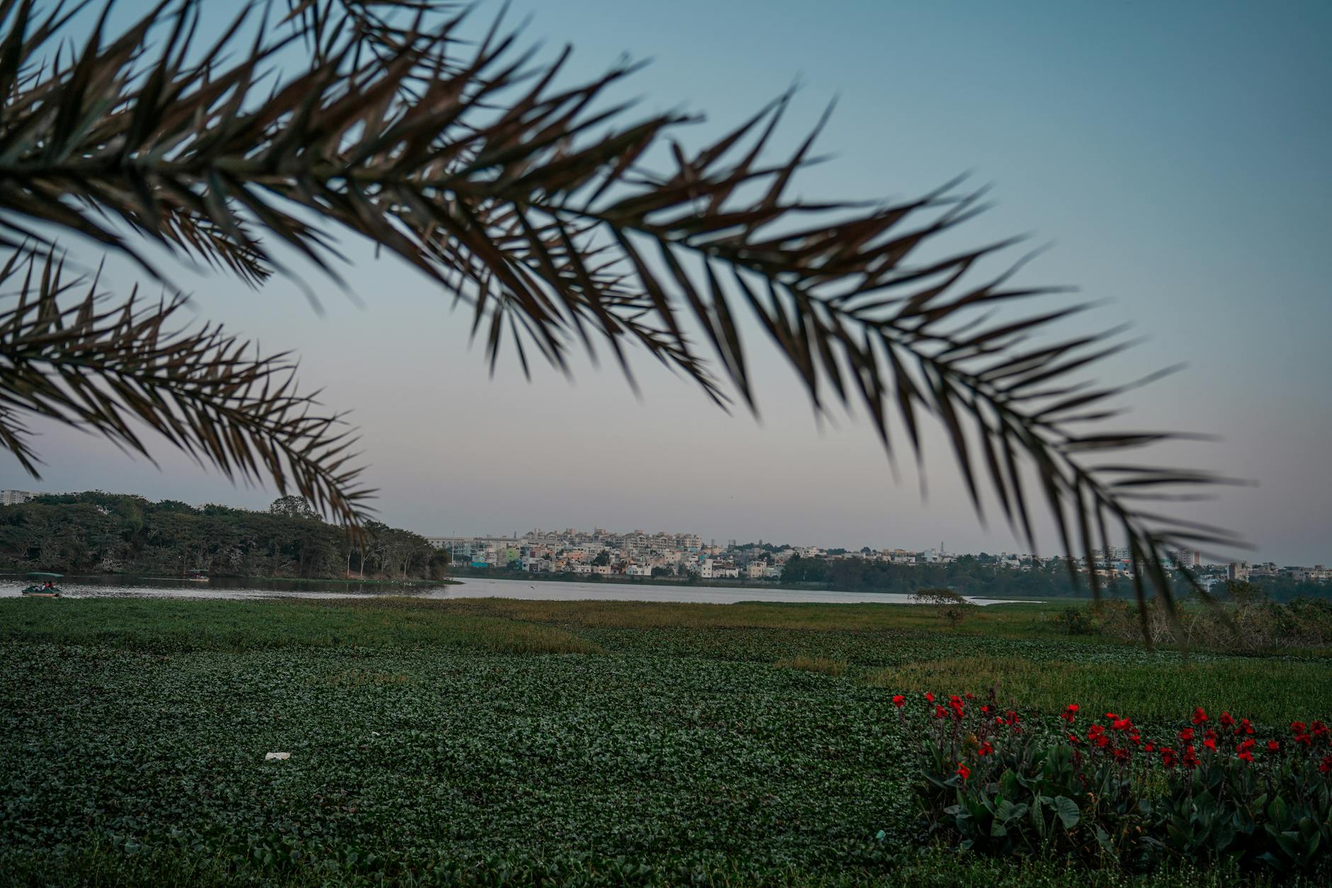 Sankey Tank Faces Decline Amidst Unchecked Urban Growth