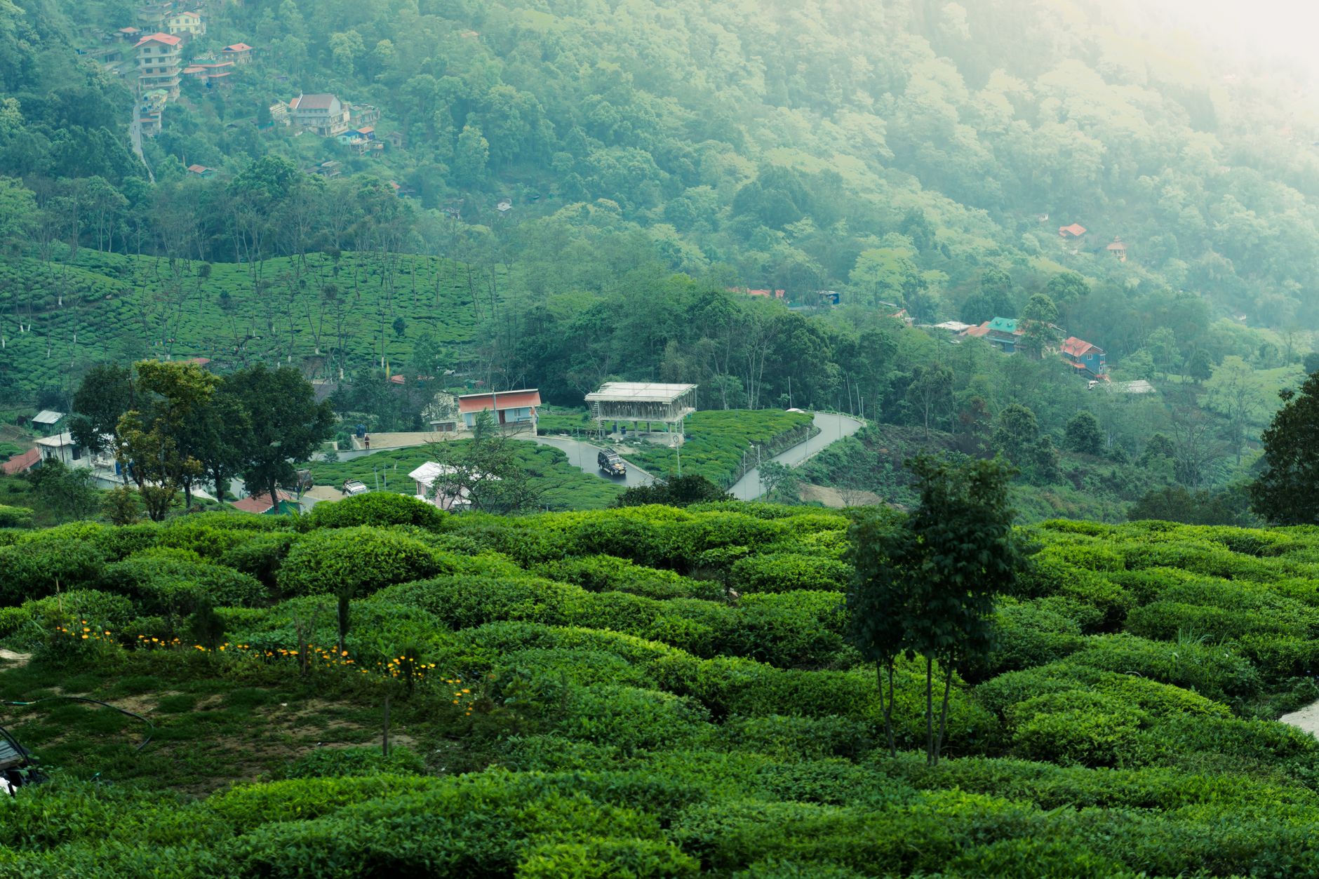 West Bengal to Balance Tourism and Environment with New Measures
