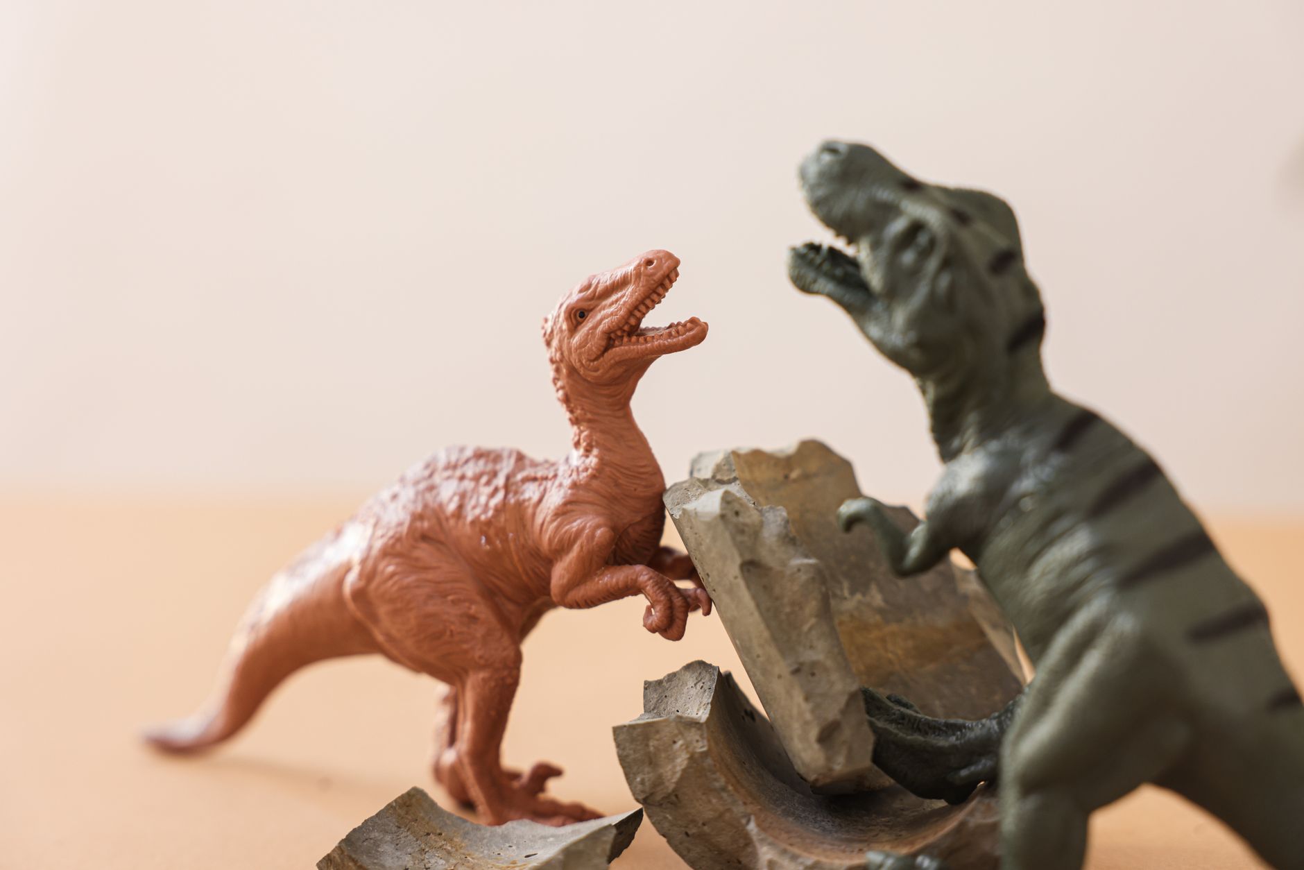 How Dinosaurs' Demise Paved the Way for Giant Fungi