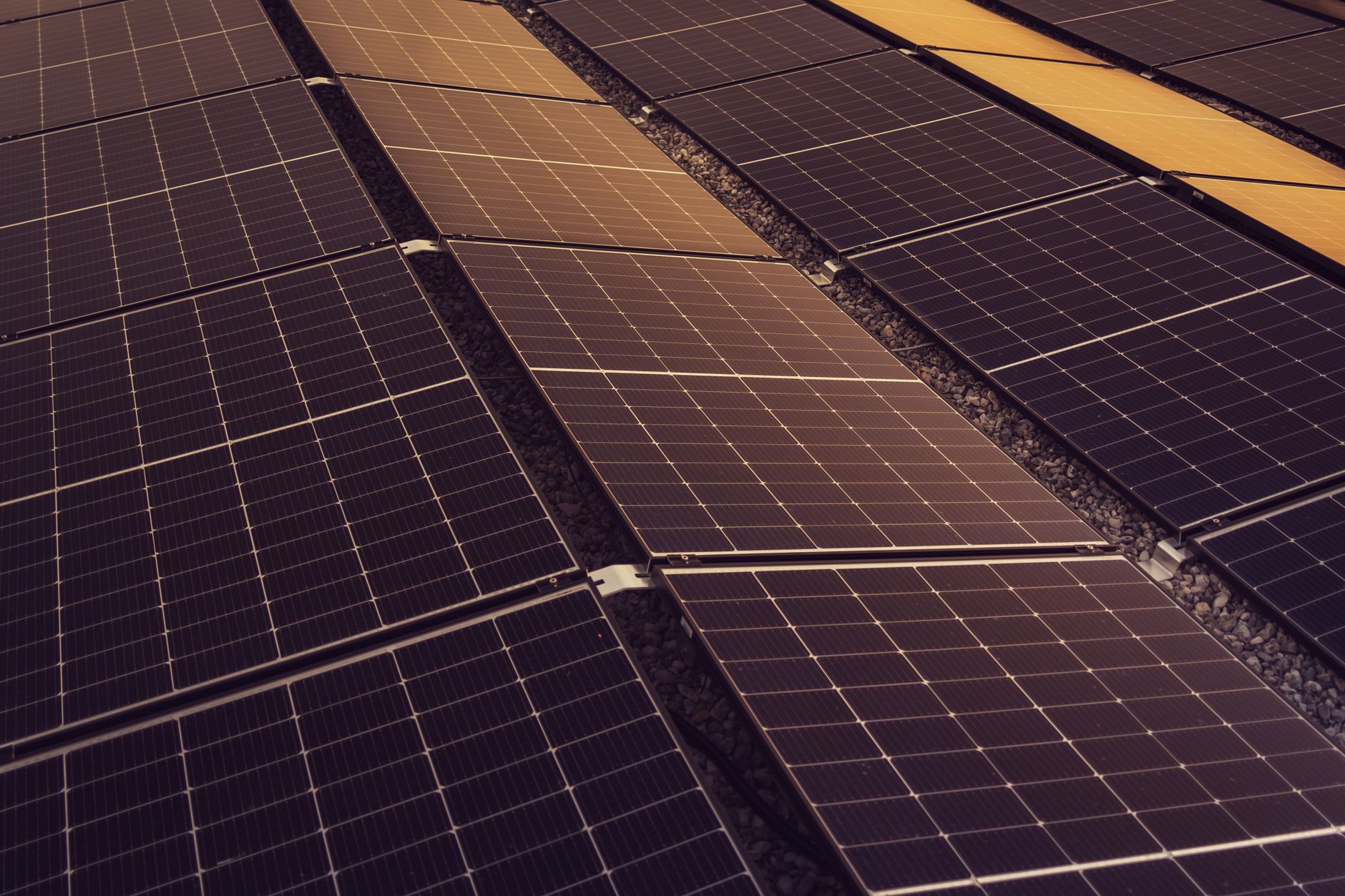 The Rise of Sustainable Data Centres: A Green Revolution