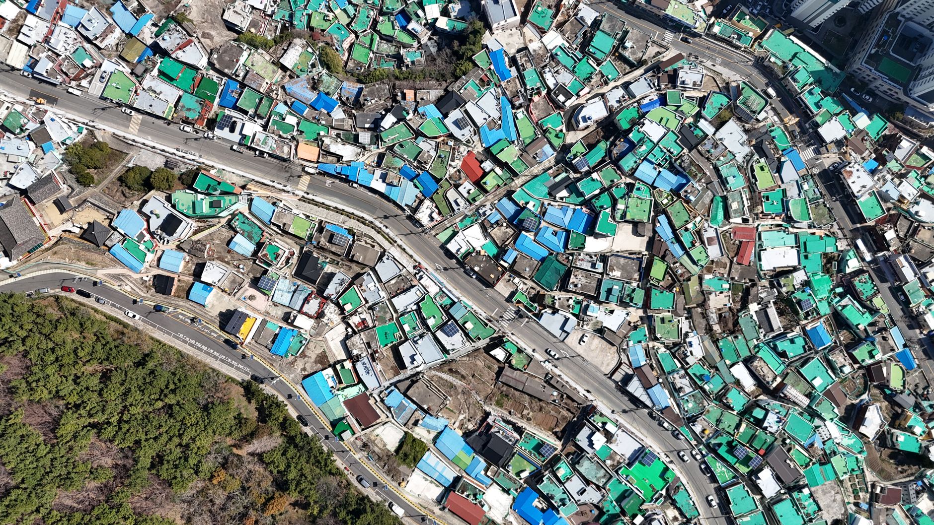 Harnessing Google Earth AI to Predict Global Health Risks
