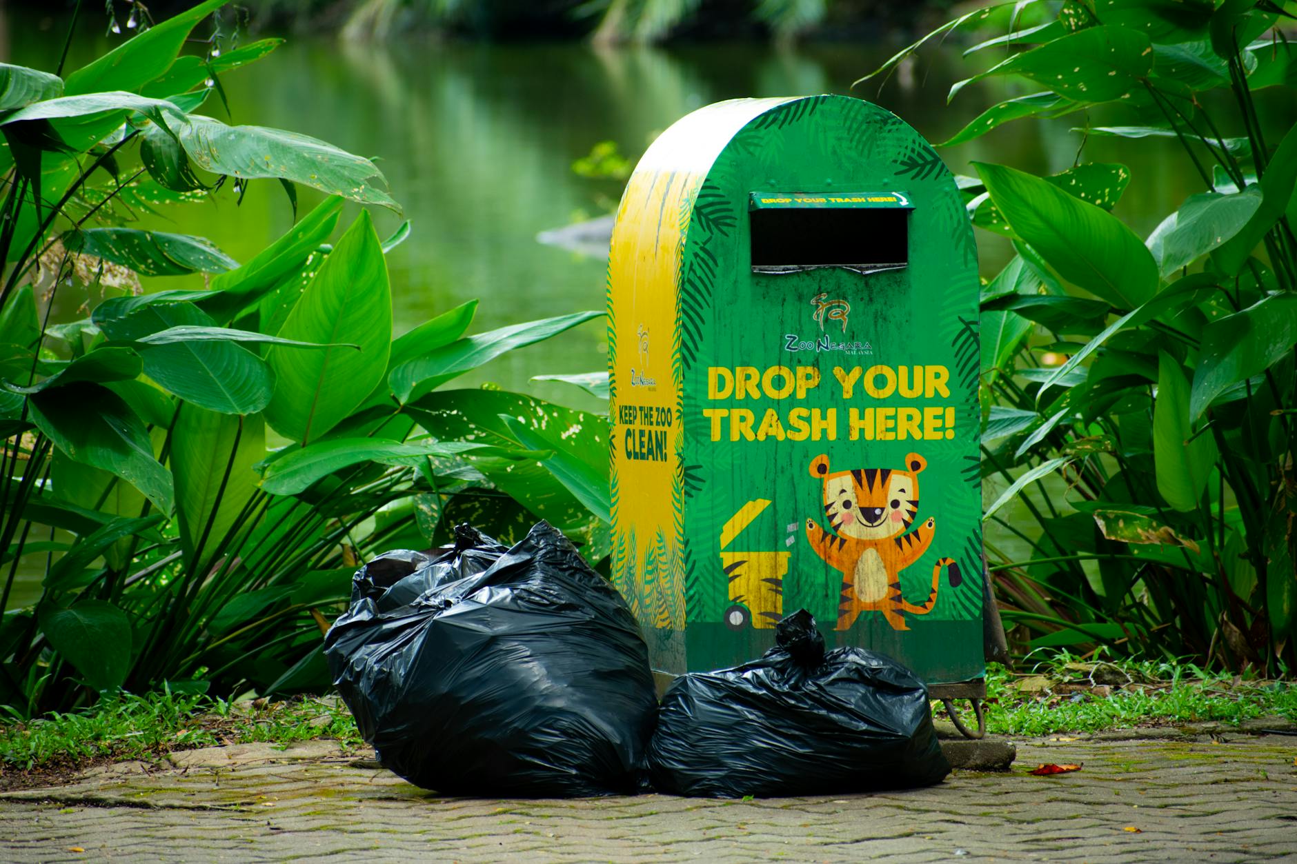 National Zoo Launches Cleanliness Drive to Champion Green Causes