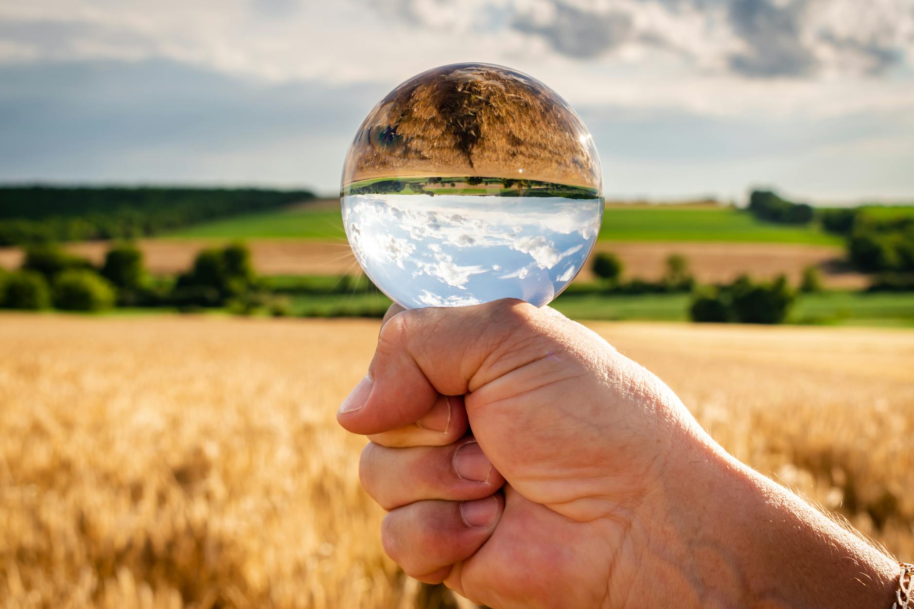 FMC Divests India Business to Crystal Crop in $252 Million Deal