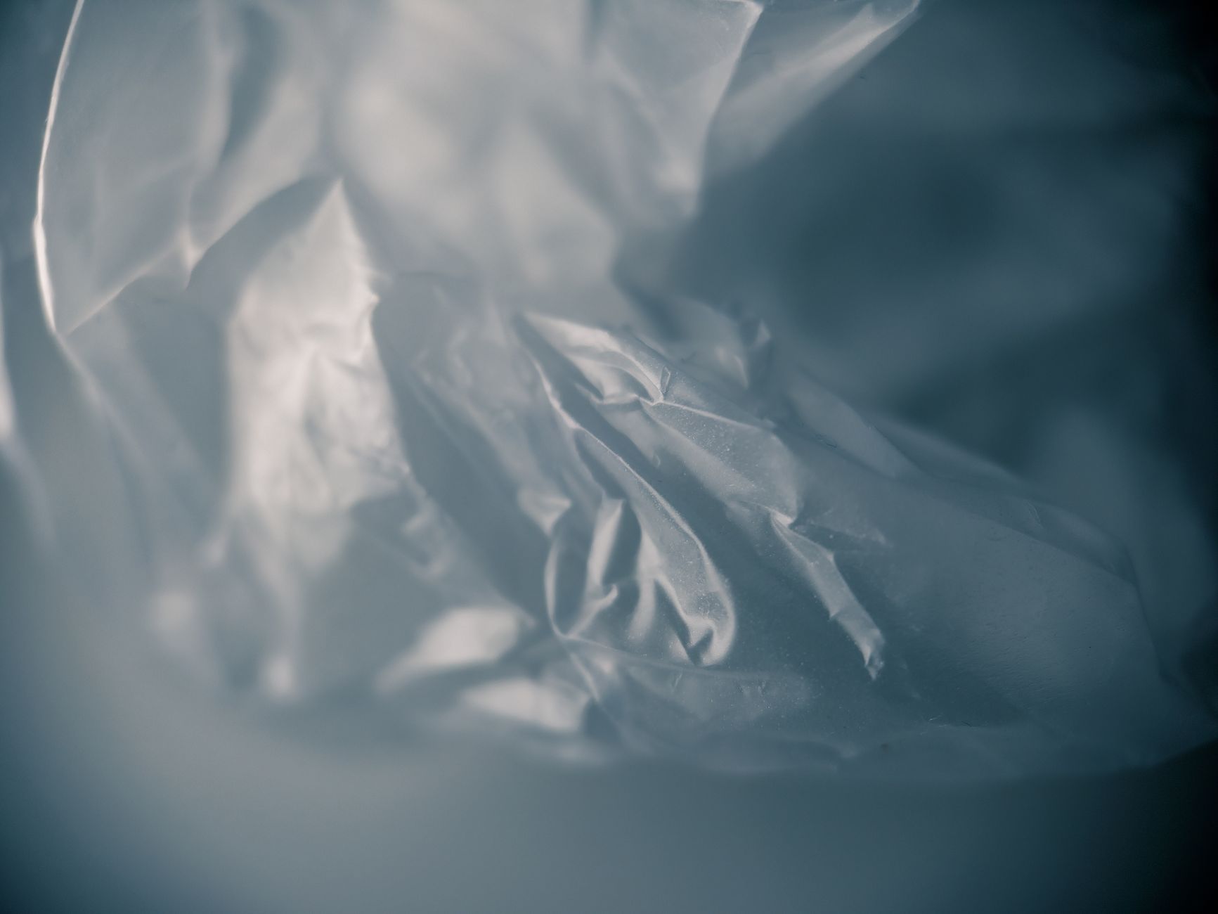Hamburg's Traceless Leads the Charge with Polymer Innovation