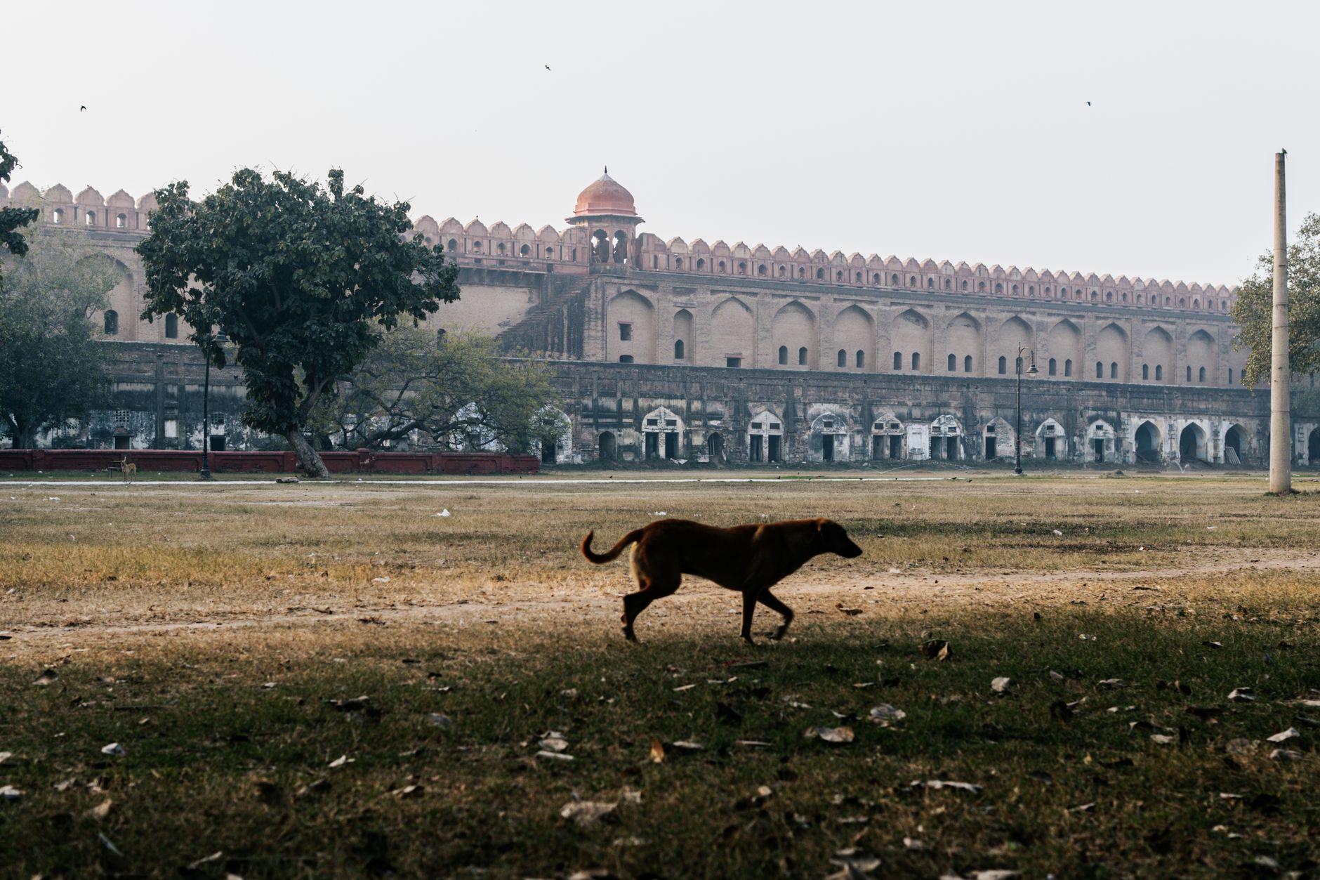 Delhi Vows to Clean Up for World Championships
