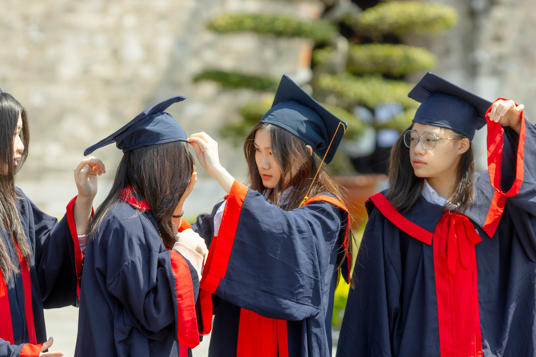 New Report Illuminates Career Prospects for Social Science Graduates