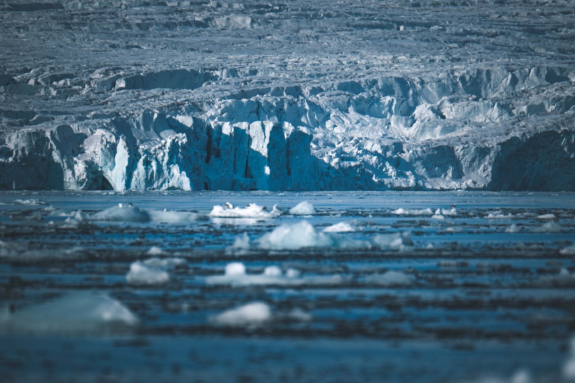 Earth's Diminishing Albedo: A Growing Concern for Scientists