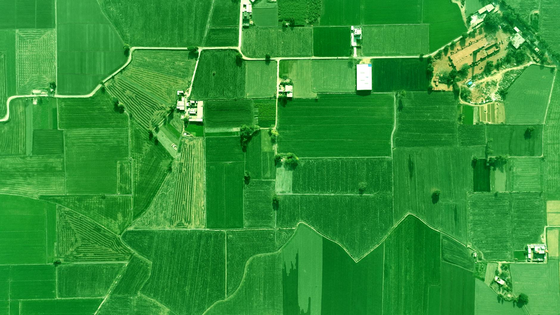 Harnessing Technology for Precise Crop Insurance Payouts in India