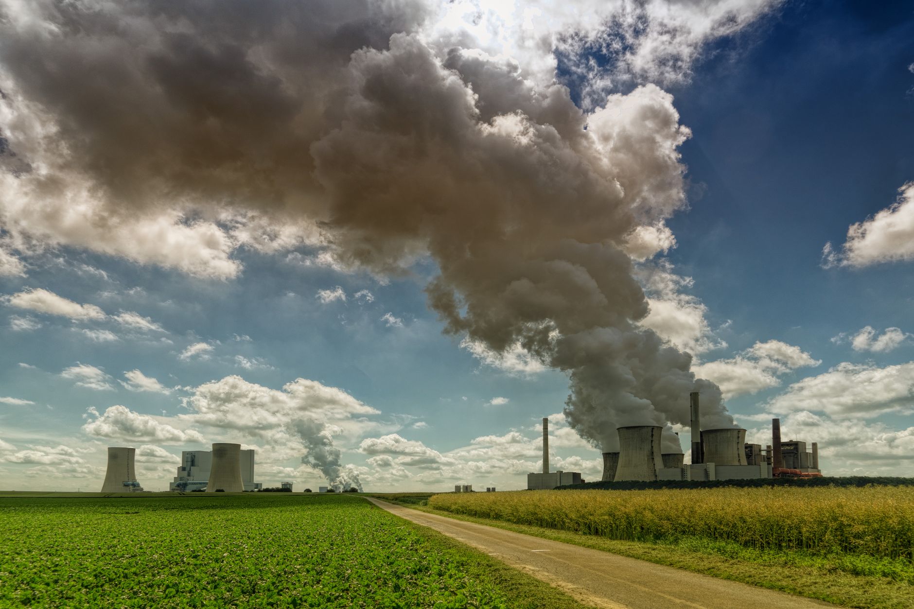 AI's Growing Environmental Toll: An Urgent Call to Action