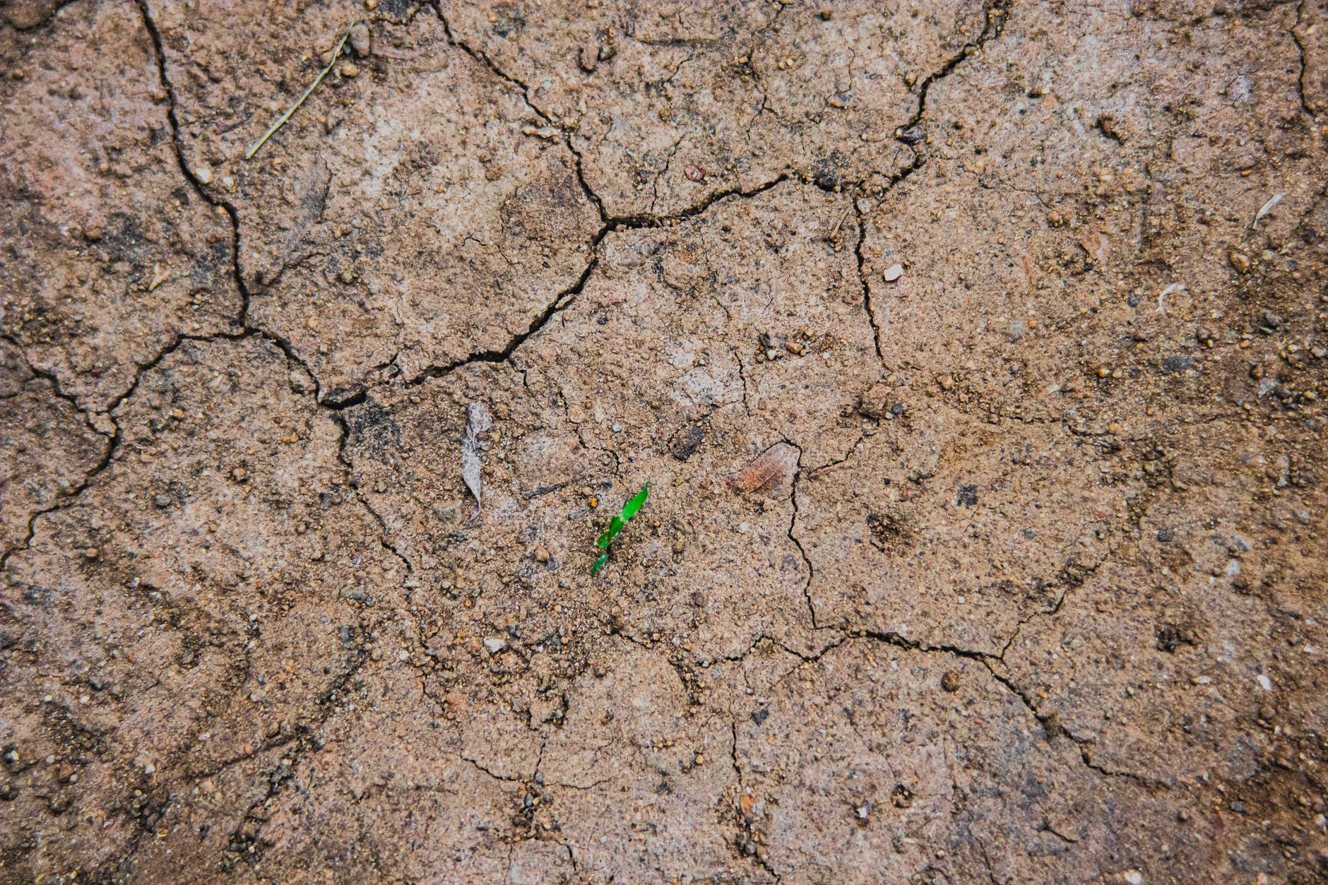 Global Drought Crisis: A Call for Proactive Measures