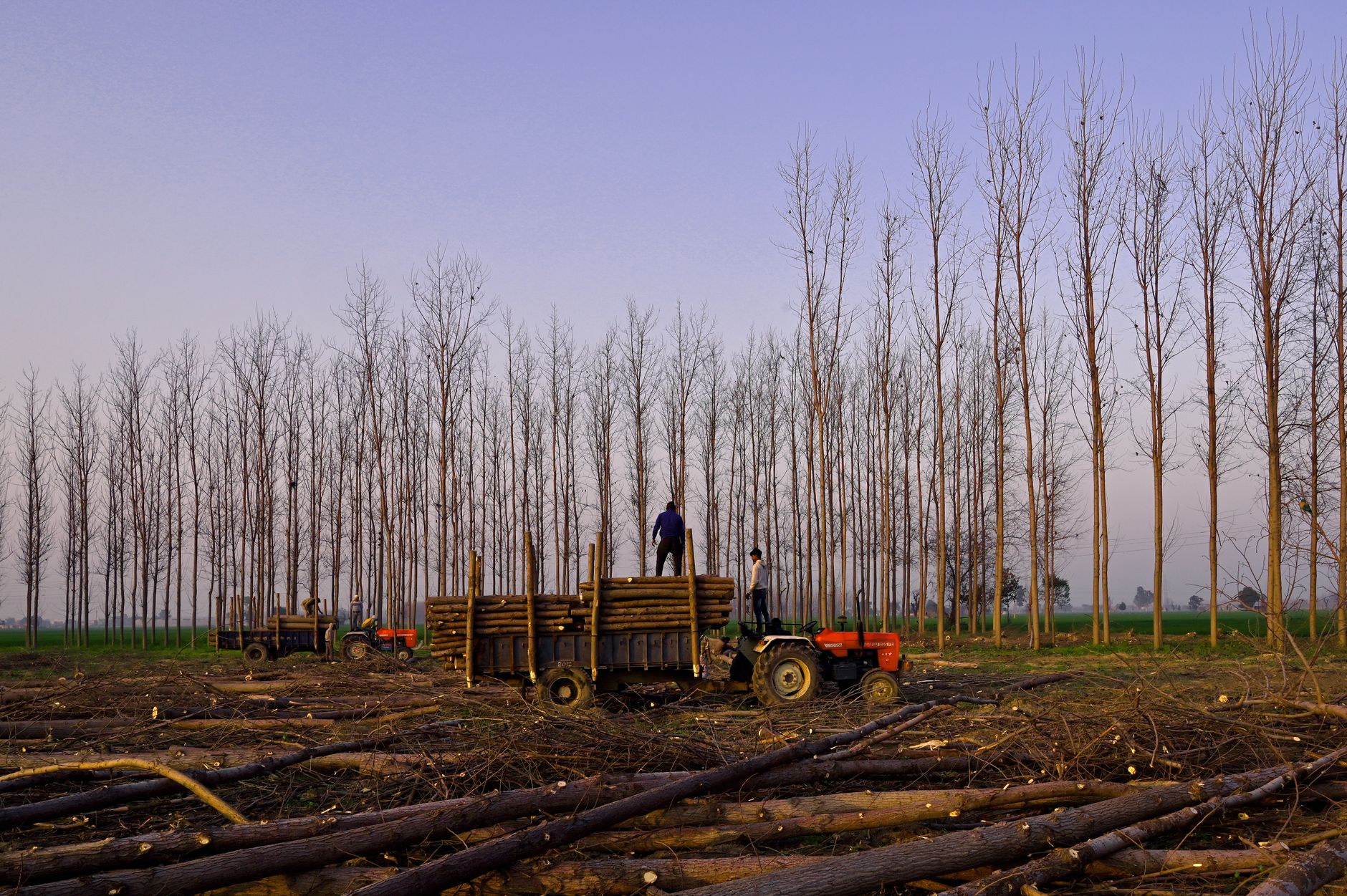 Budgam's Environmental Crusader: A Relentless Quest for Kashmir's Green Future