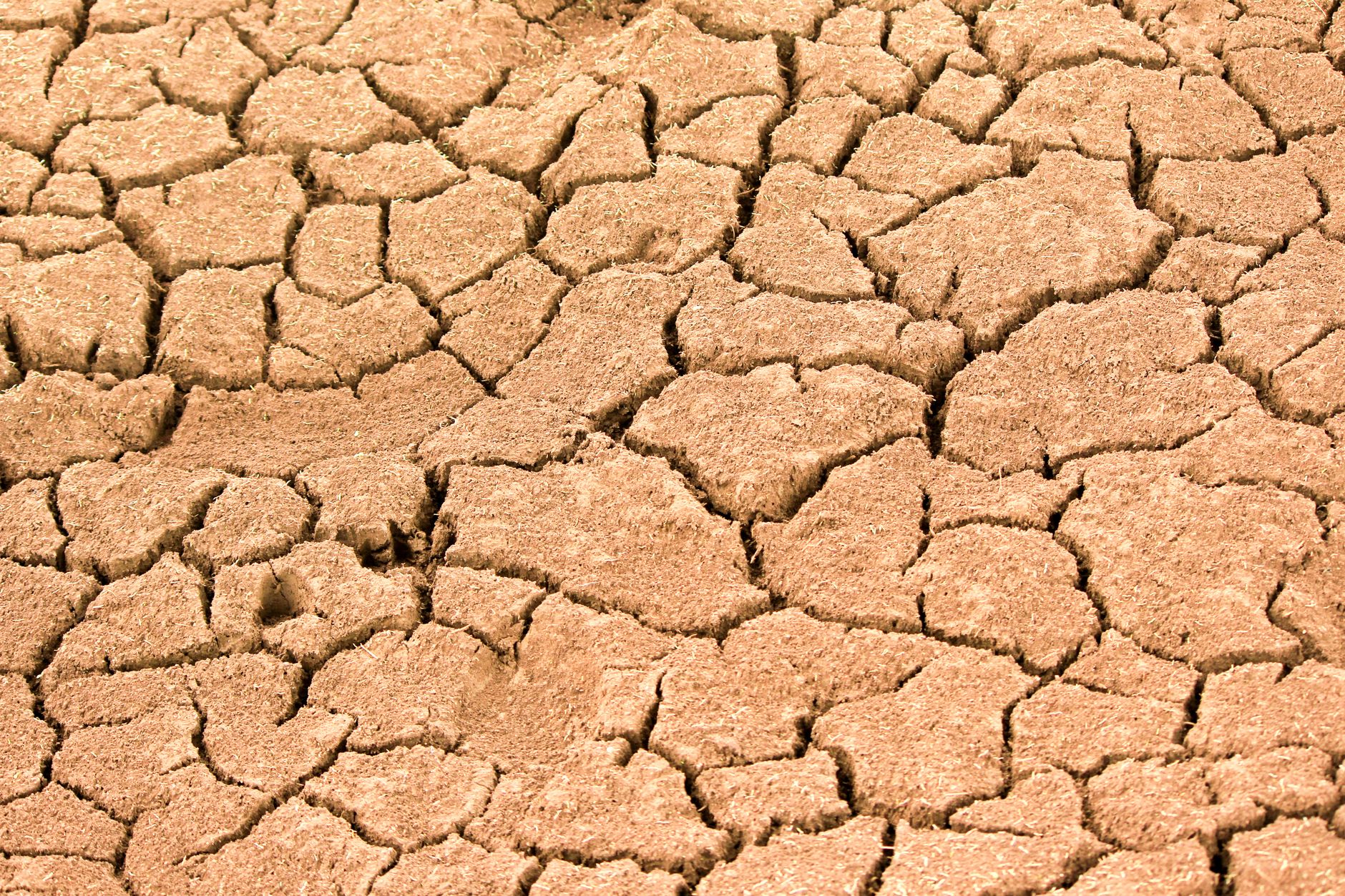 England Faces Severe Drought as Water Supplies Dwindle