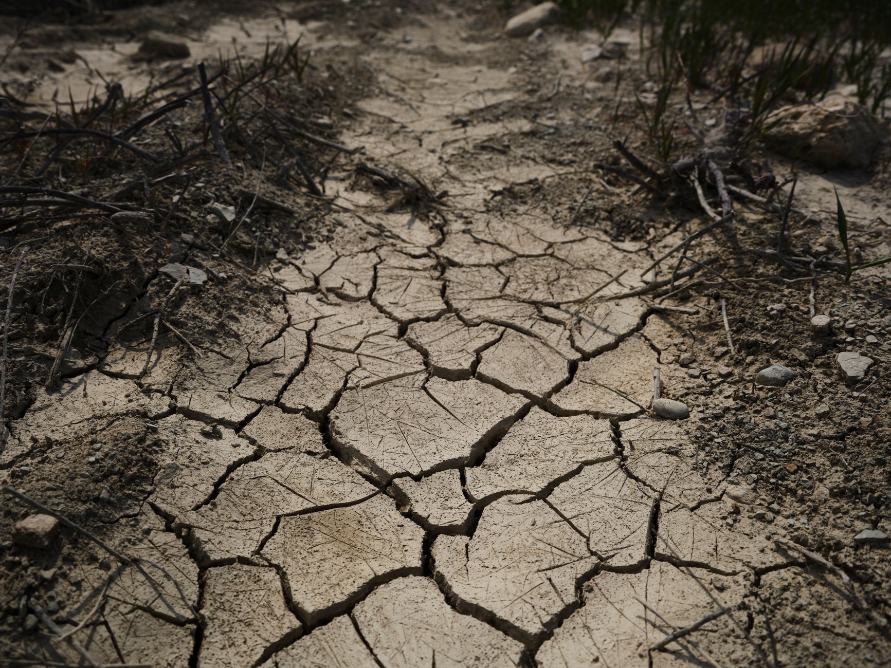 Europe's Sizzling Summers: A New Climatic Reality?