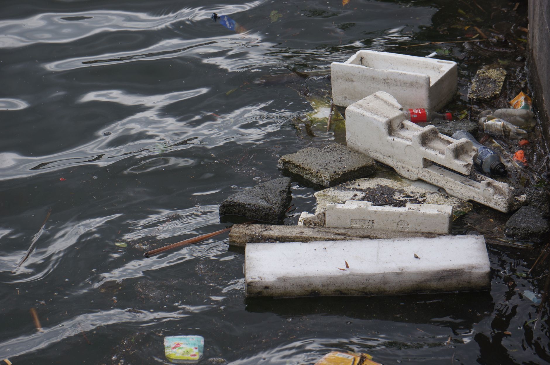 From Viral Sensation to River Crusader: Bittu Tabahi's Fight Against Pollution