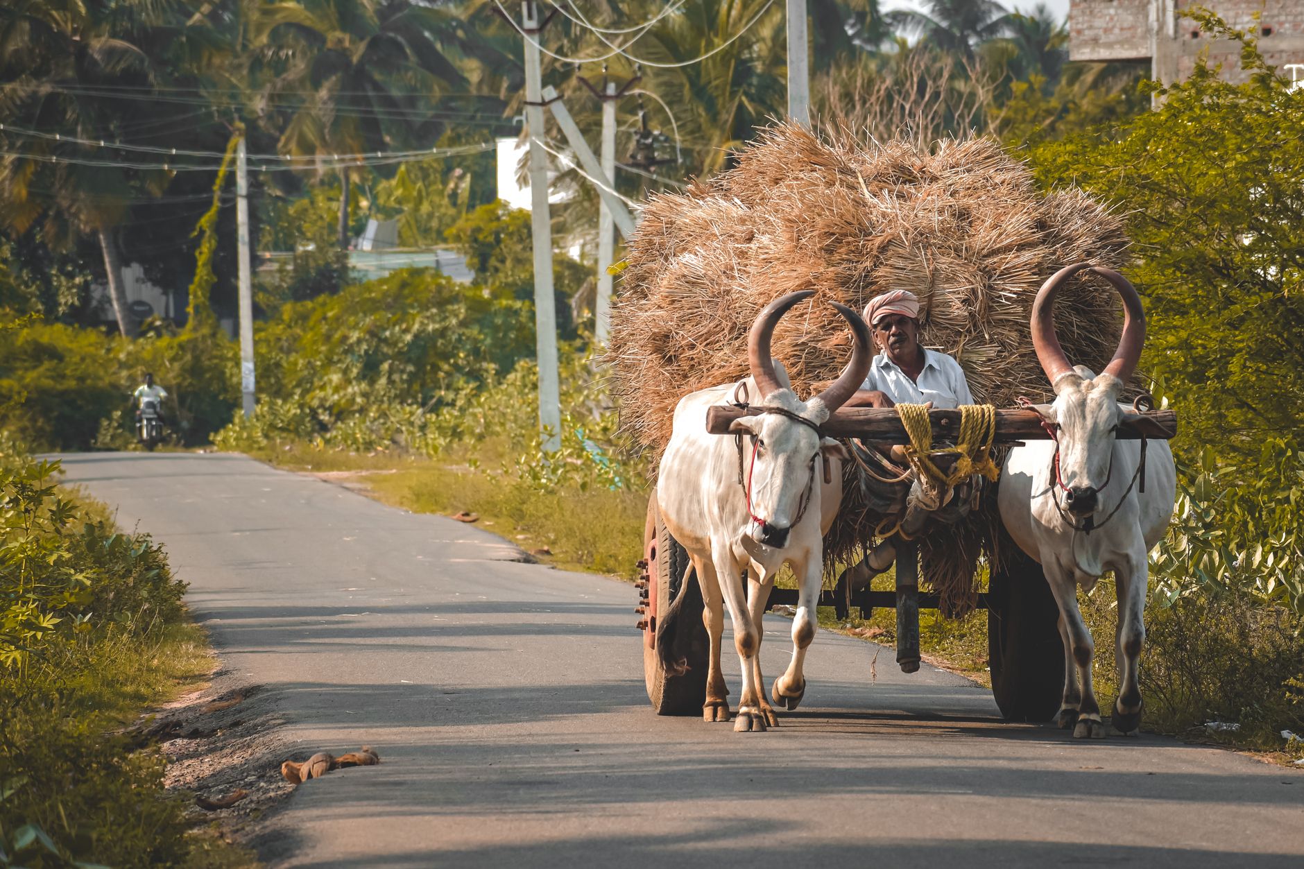 Tamil Nadu's Secretariat Plan Sparks Development and Livelihood Clash