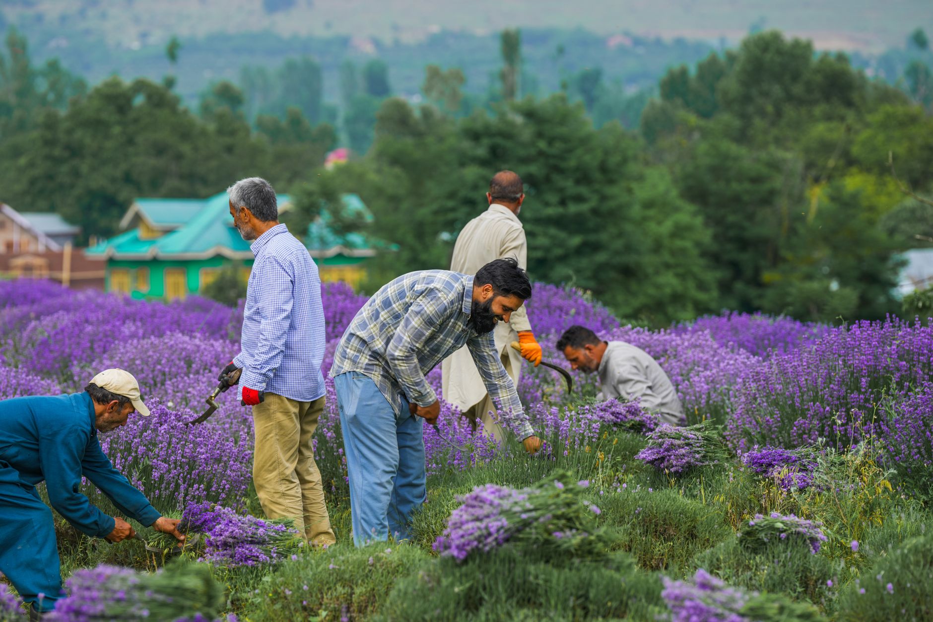 Manoj Sinha Calls for Eco-Friendly Tourism in Jammu and Kashmir