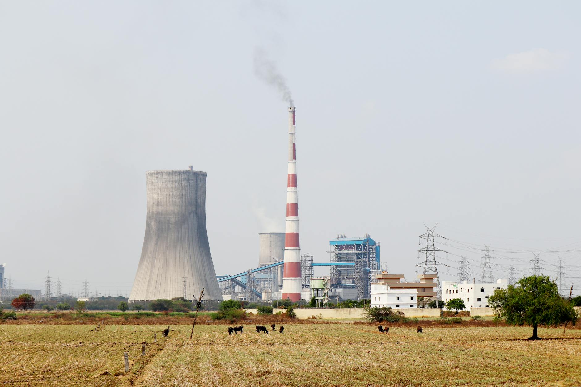 Digital Leap: Streamlining India’s Environmental Approvals