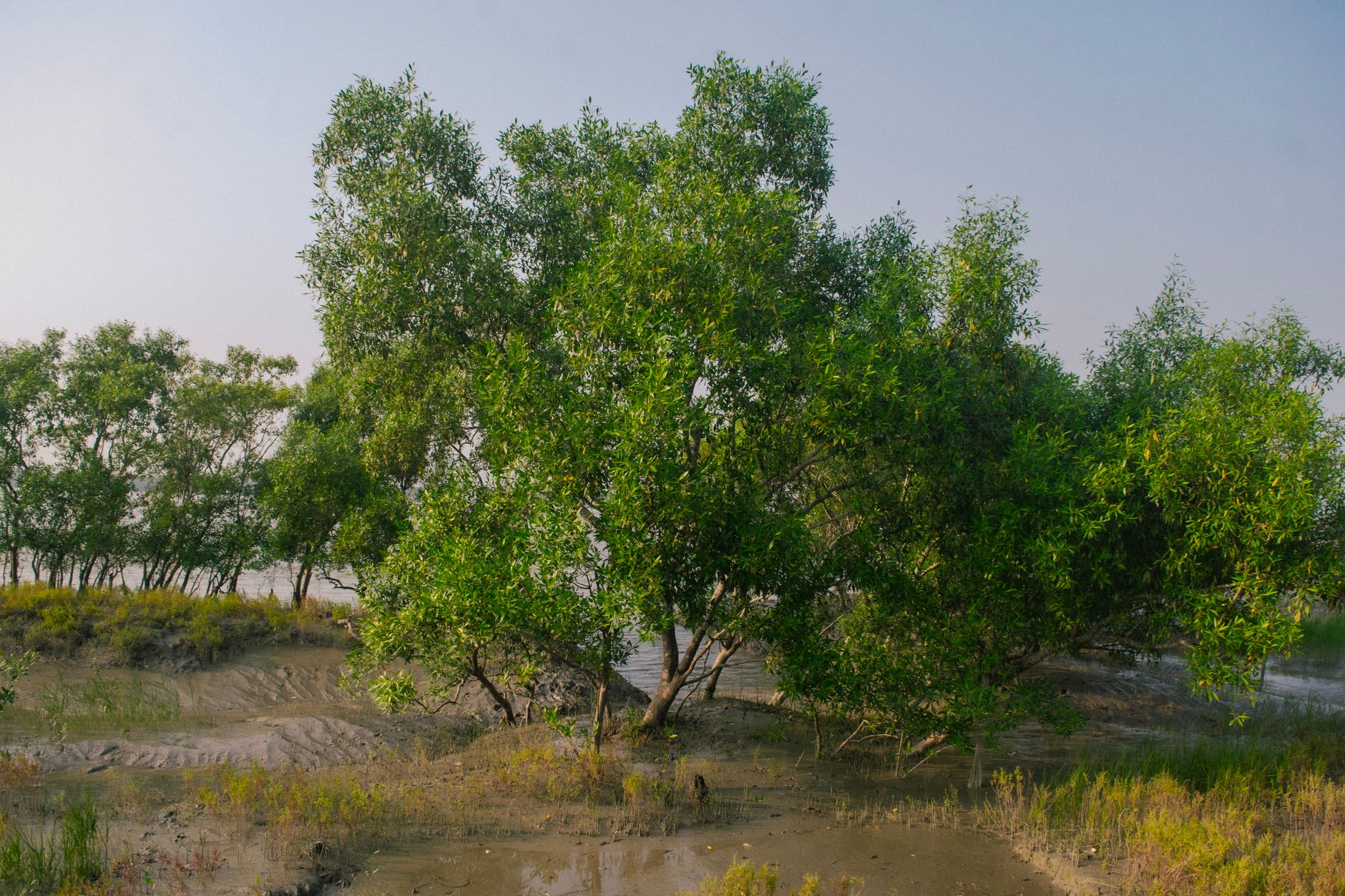 West Bengal Moves to Balance Tourism with Environmental Protection