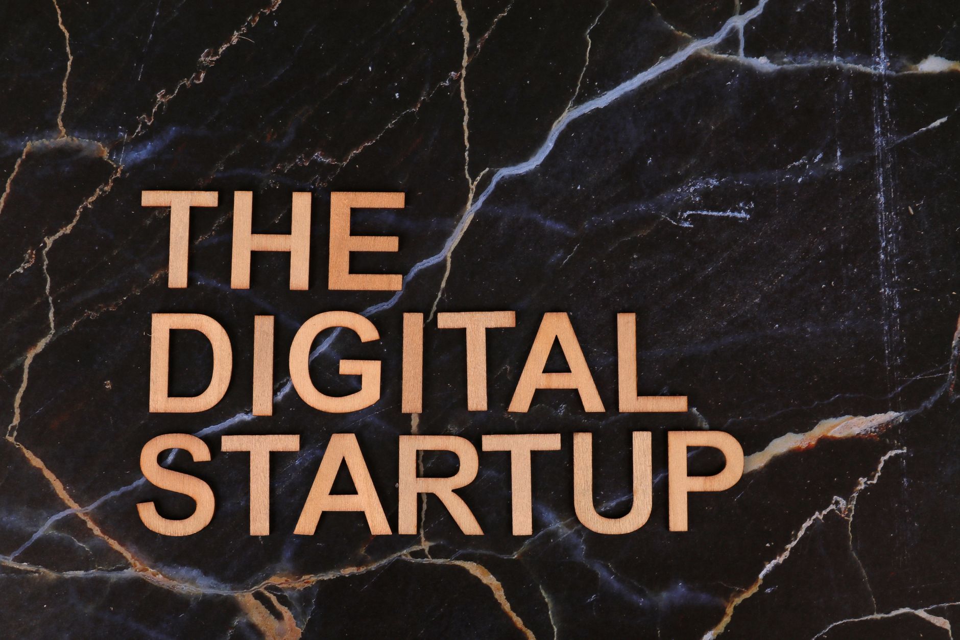 Inevitable Conflicts in Startup Funding Panels, Says TDB Secretary