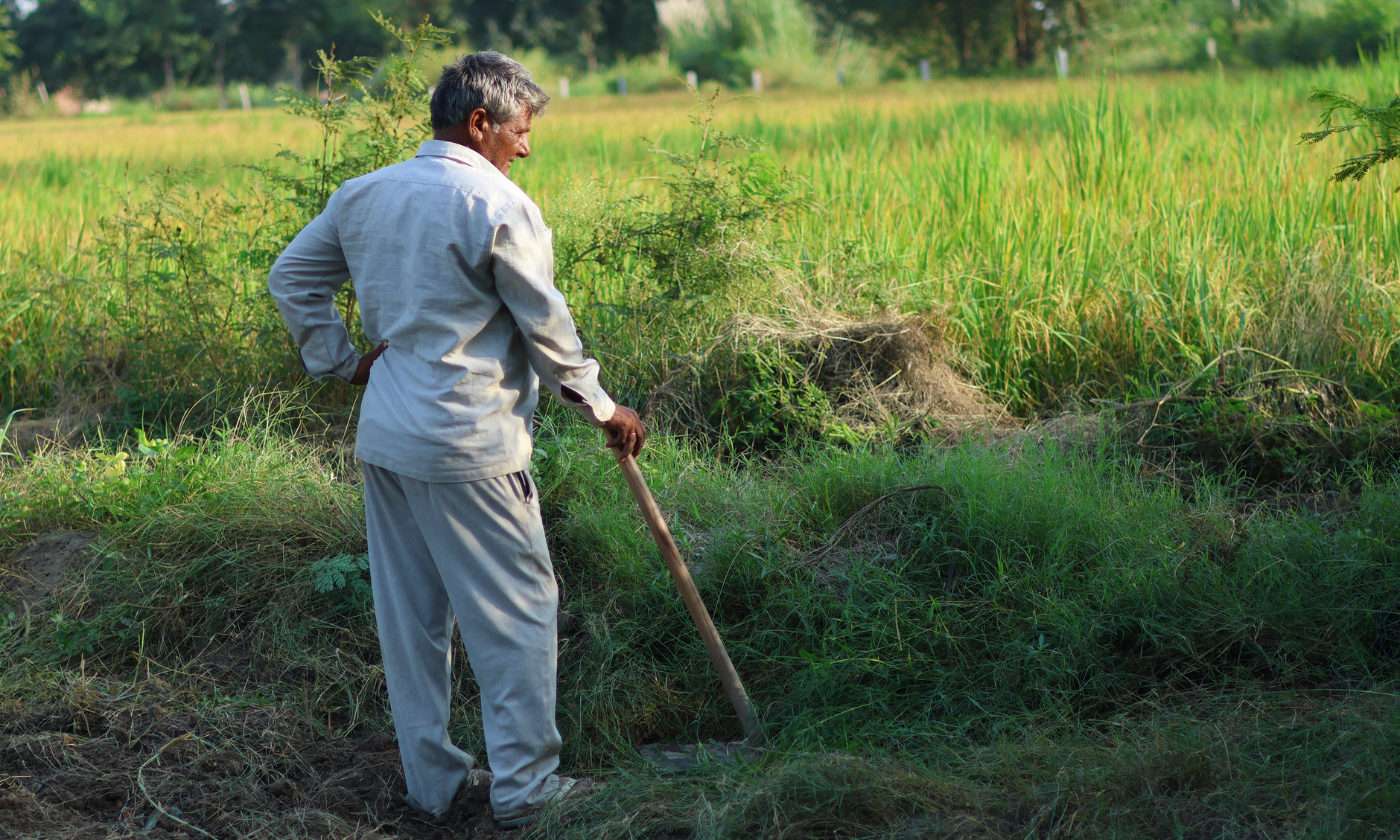 Allegations of Scandal Rock India's Environment Ministry