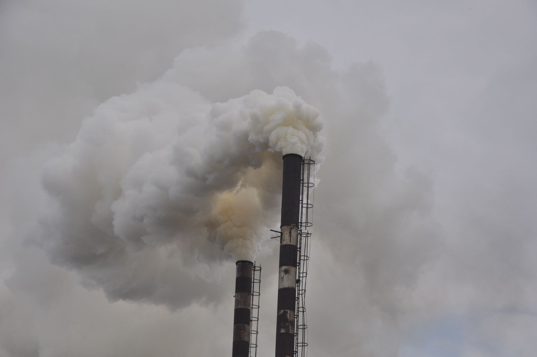 The Quiet Influence: How Environment Shapes Our Health